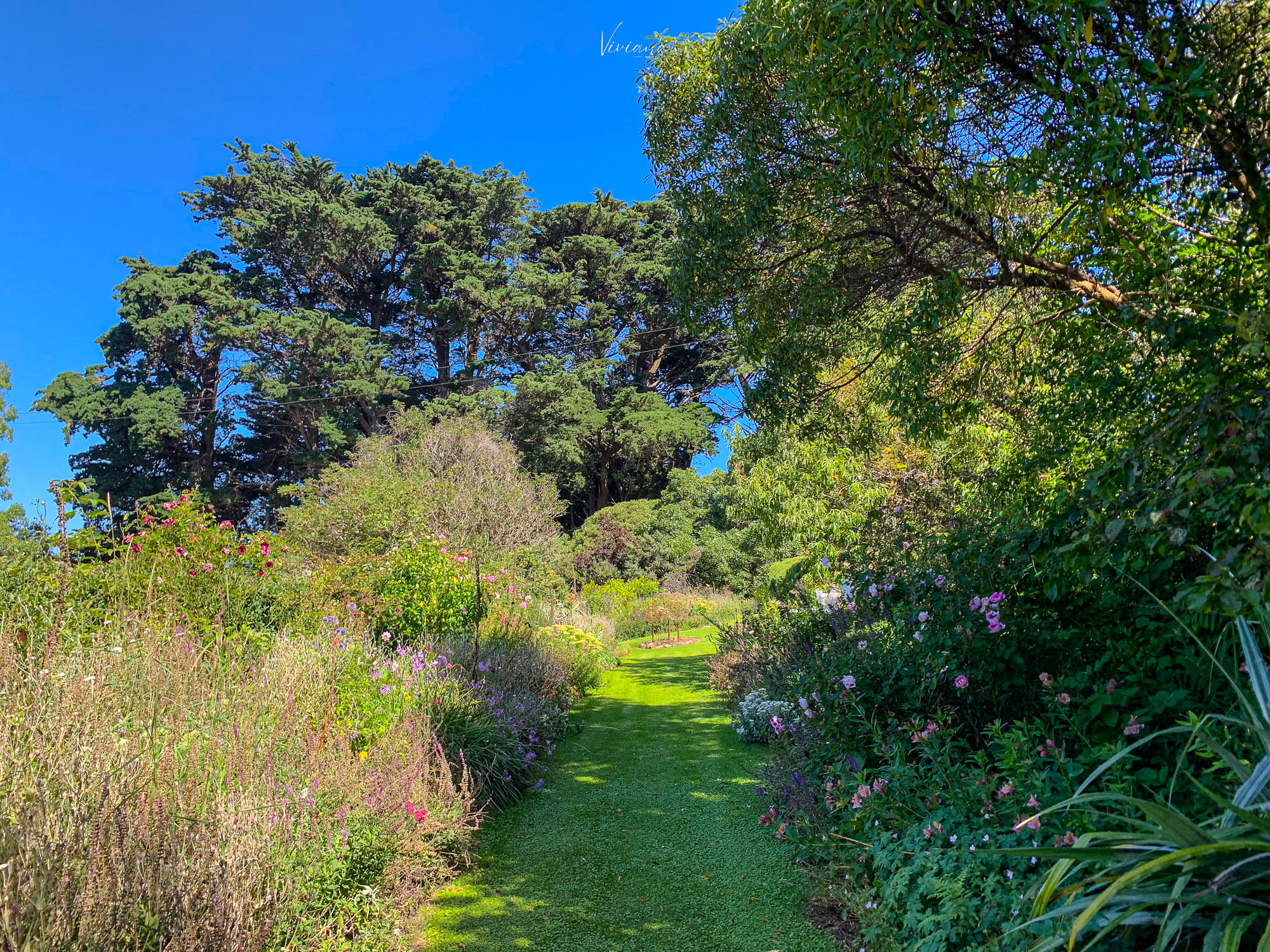 fishermans bay garden 紐西蘭