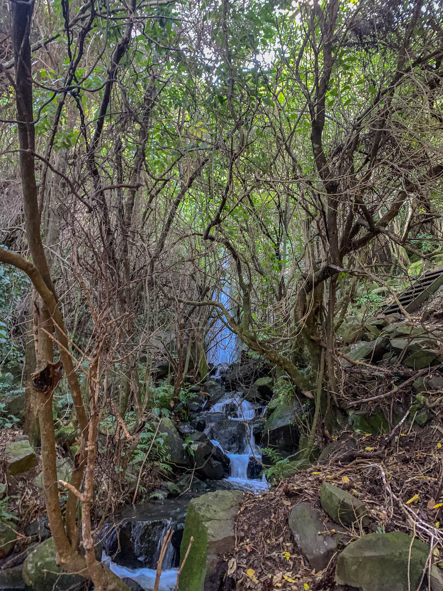 Orton Bradley Park