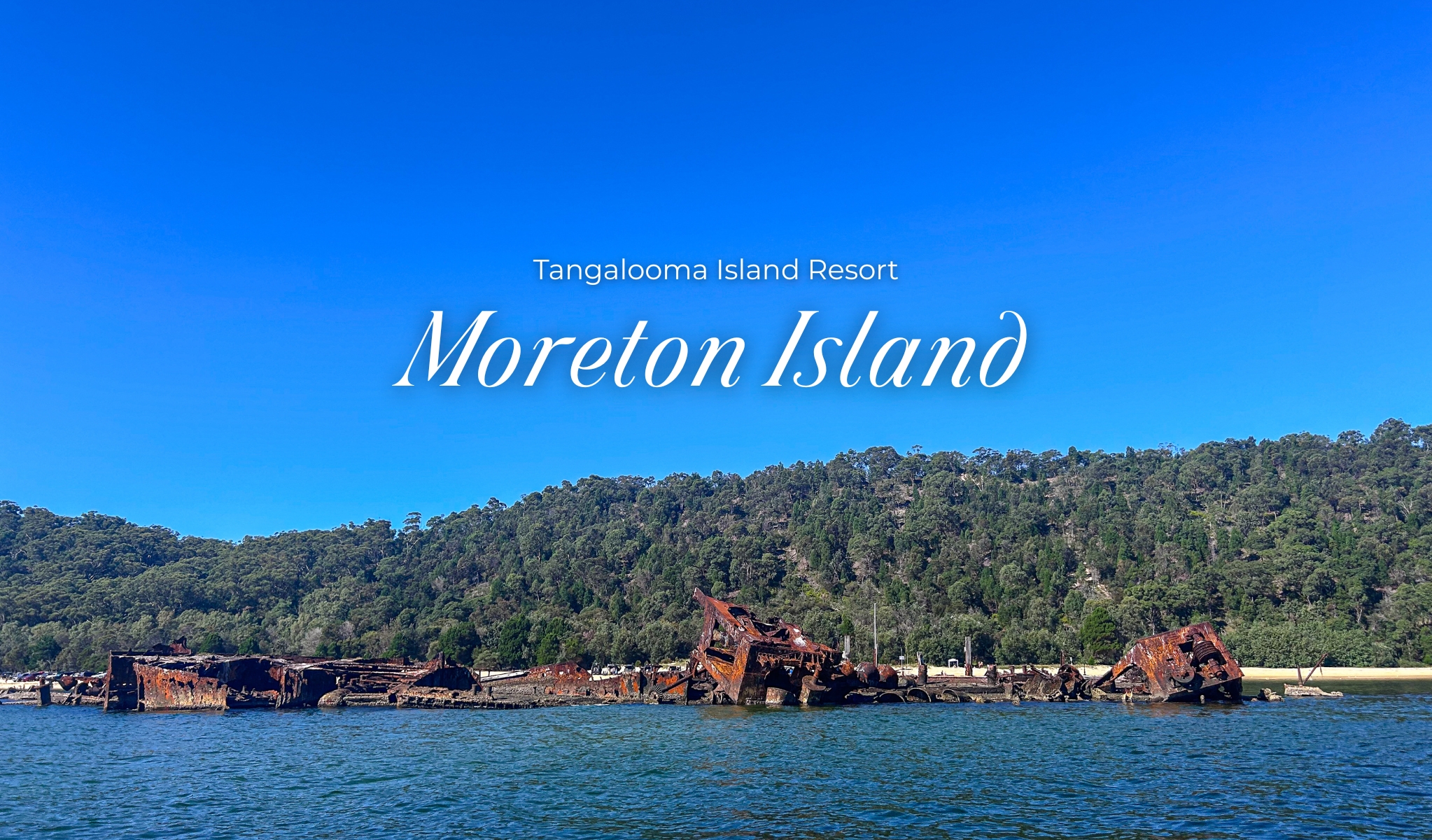 澳洲摩頓島 Moreton Island