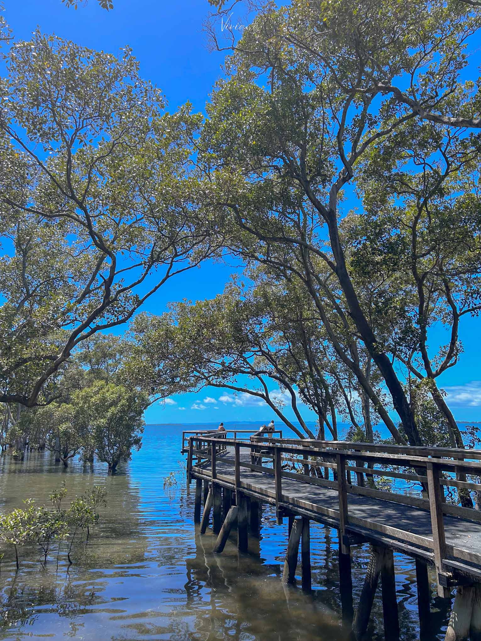 布里斯本景點 Wynnum Mangrove Boardwalk 木棧步道