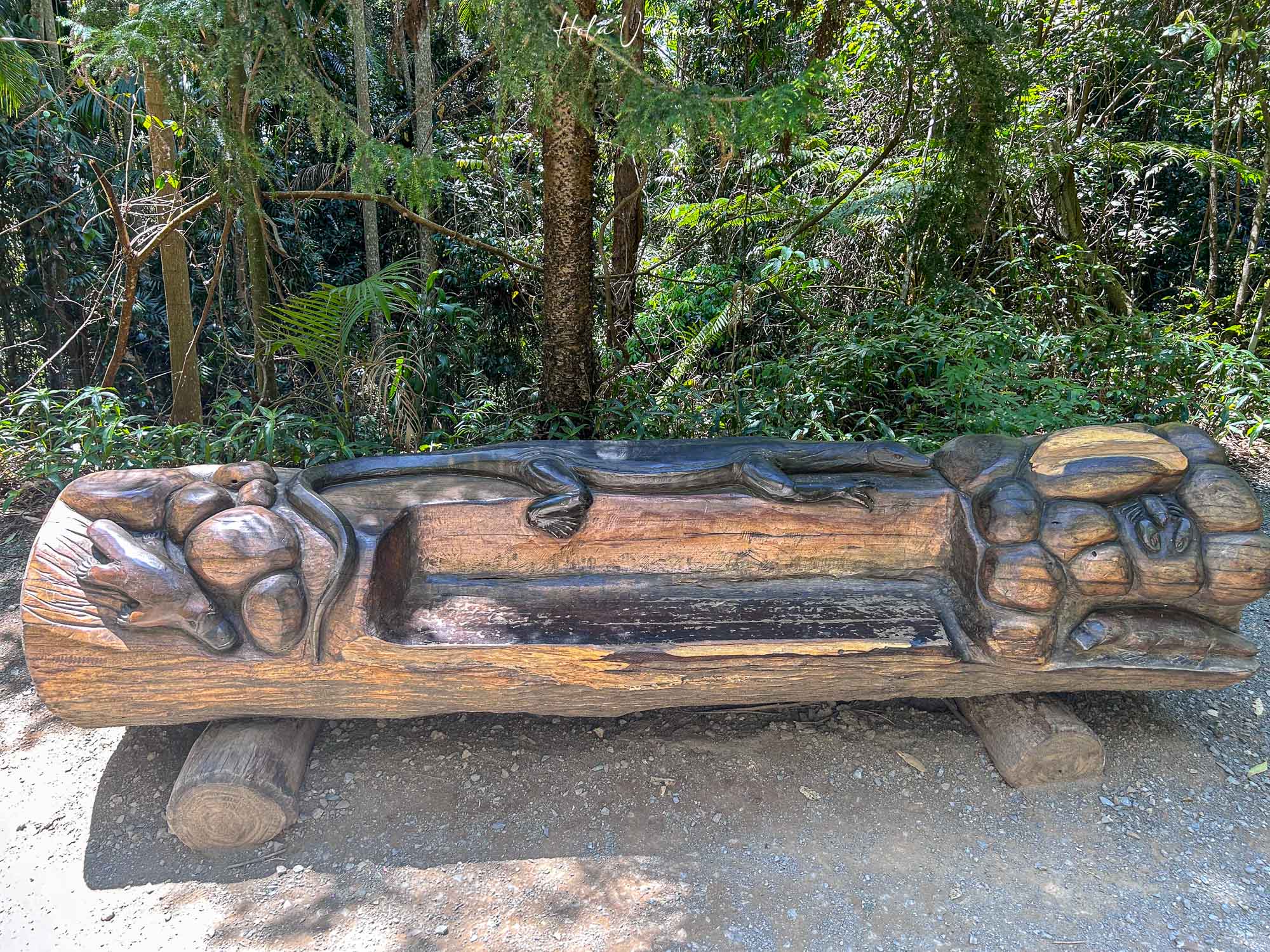 坦柏林山 Mount Tamborine 天空步道