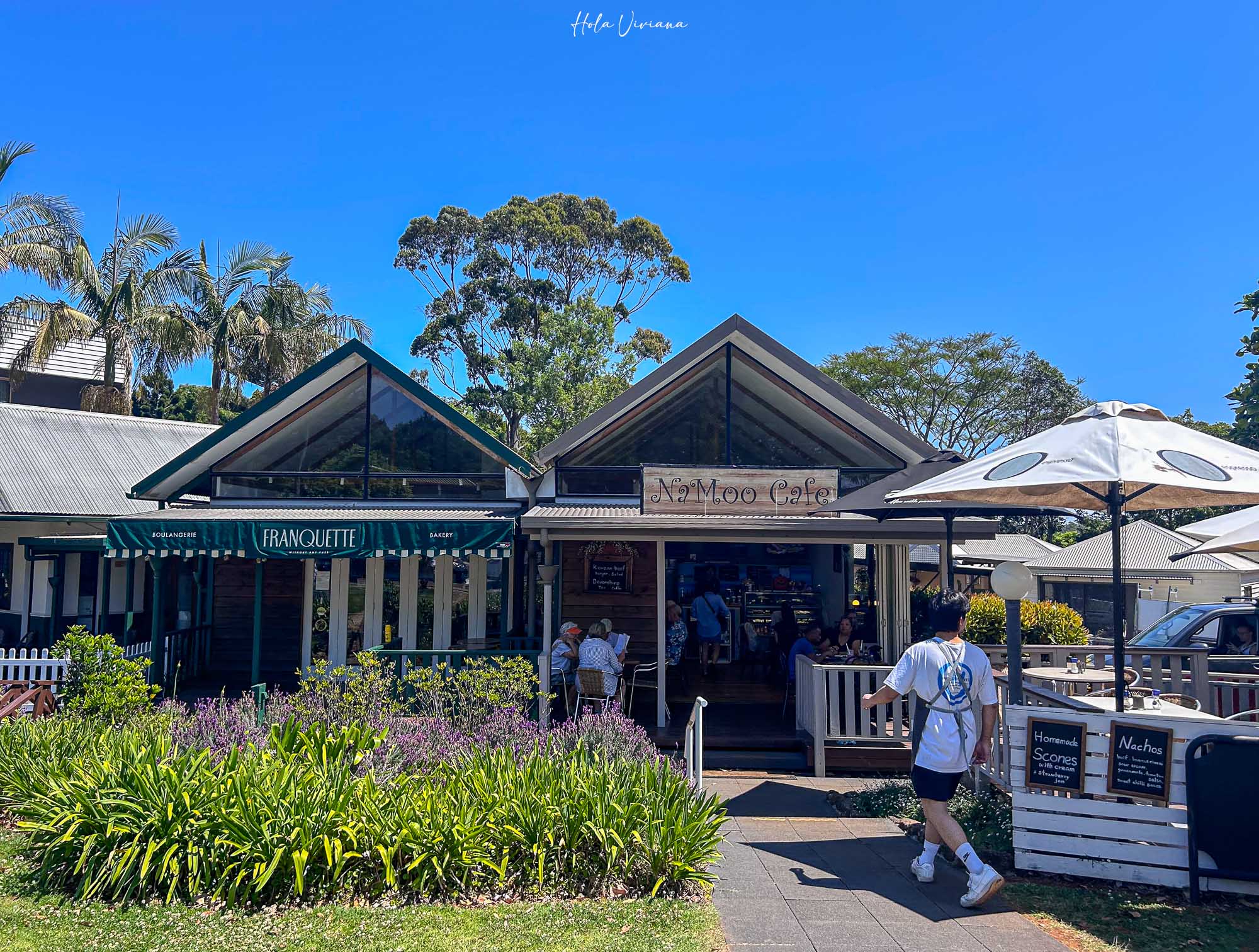 坦柏林山 Mount Tamborine Gallery Walk 德國小鎮