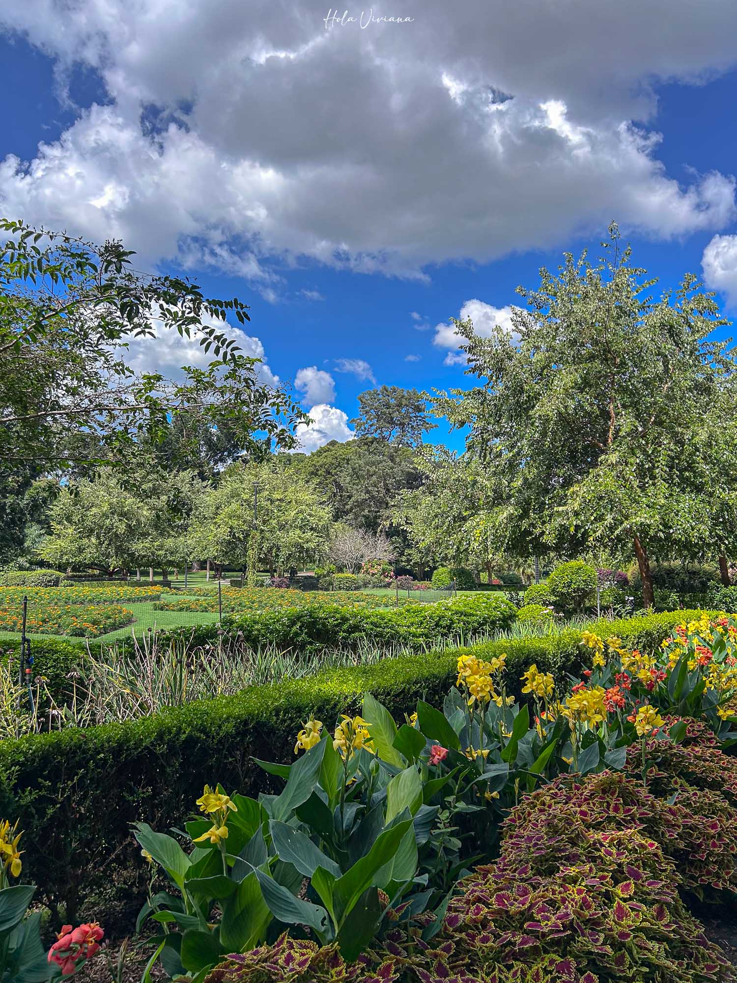 布里斯本景點推薦 市立植物園 Botanic Garden