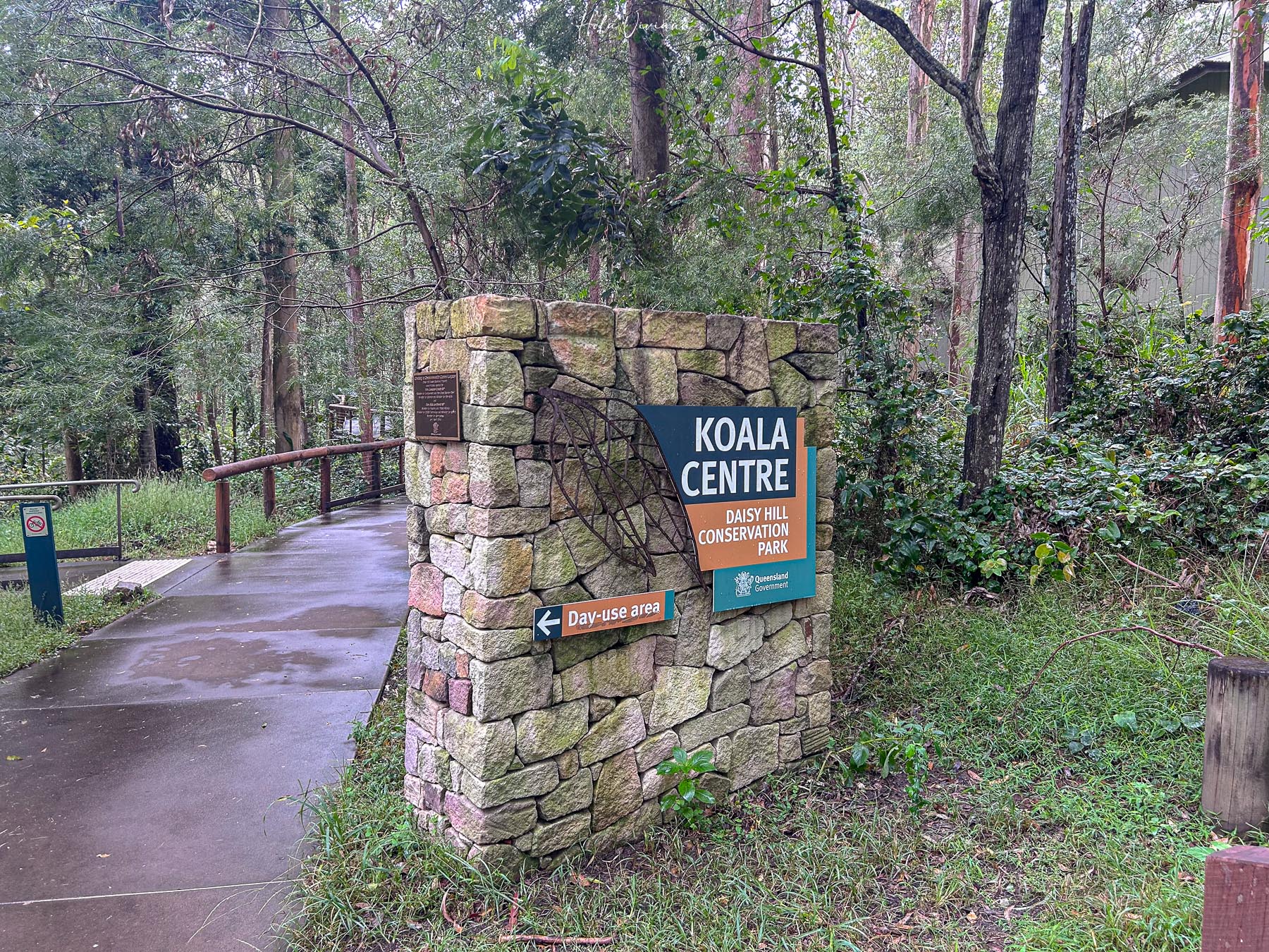 布里斯本景點 免費無尾熊景點 Daisy Hill Koala Center 