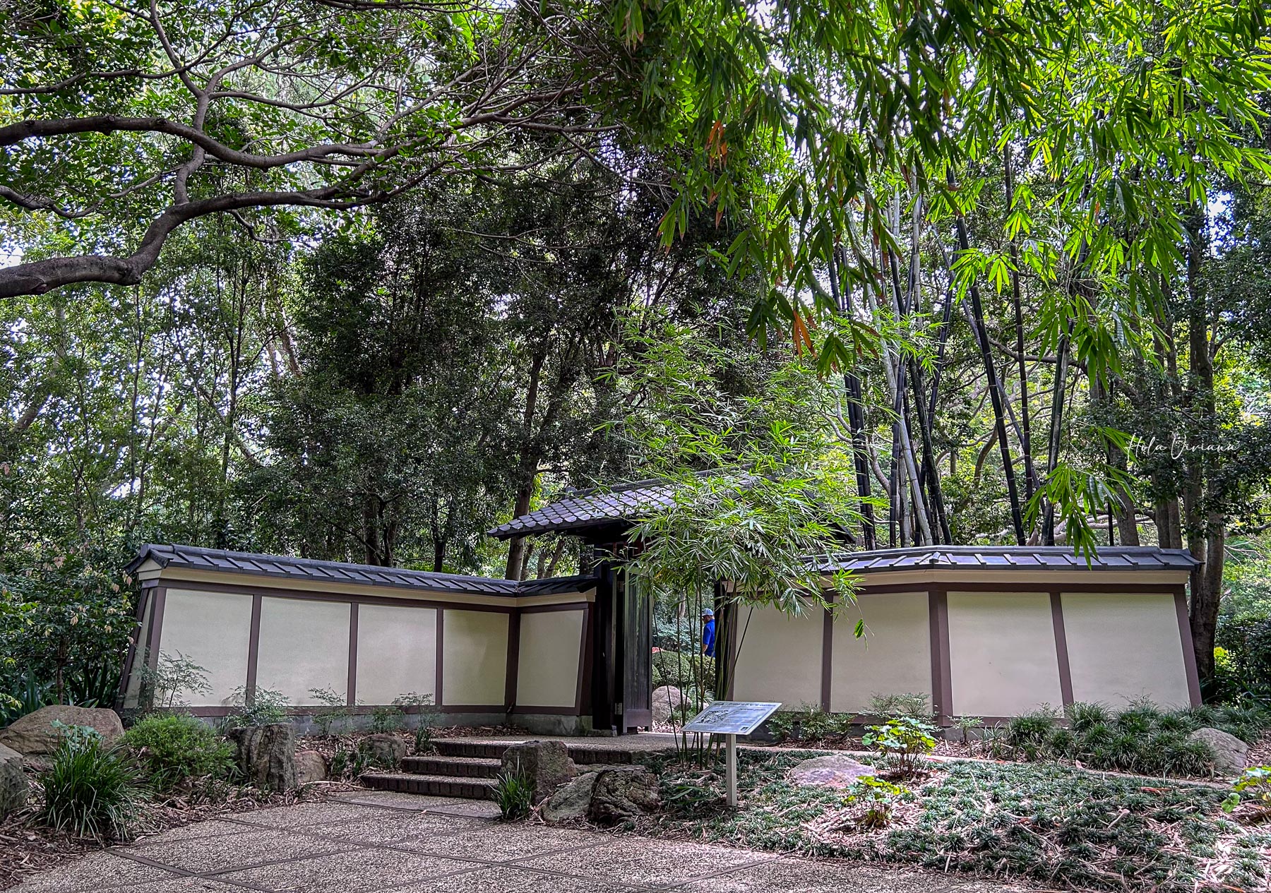 布里斯本景點推薦 庫薩山 Mount Coot-tha