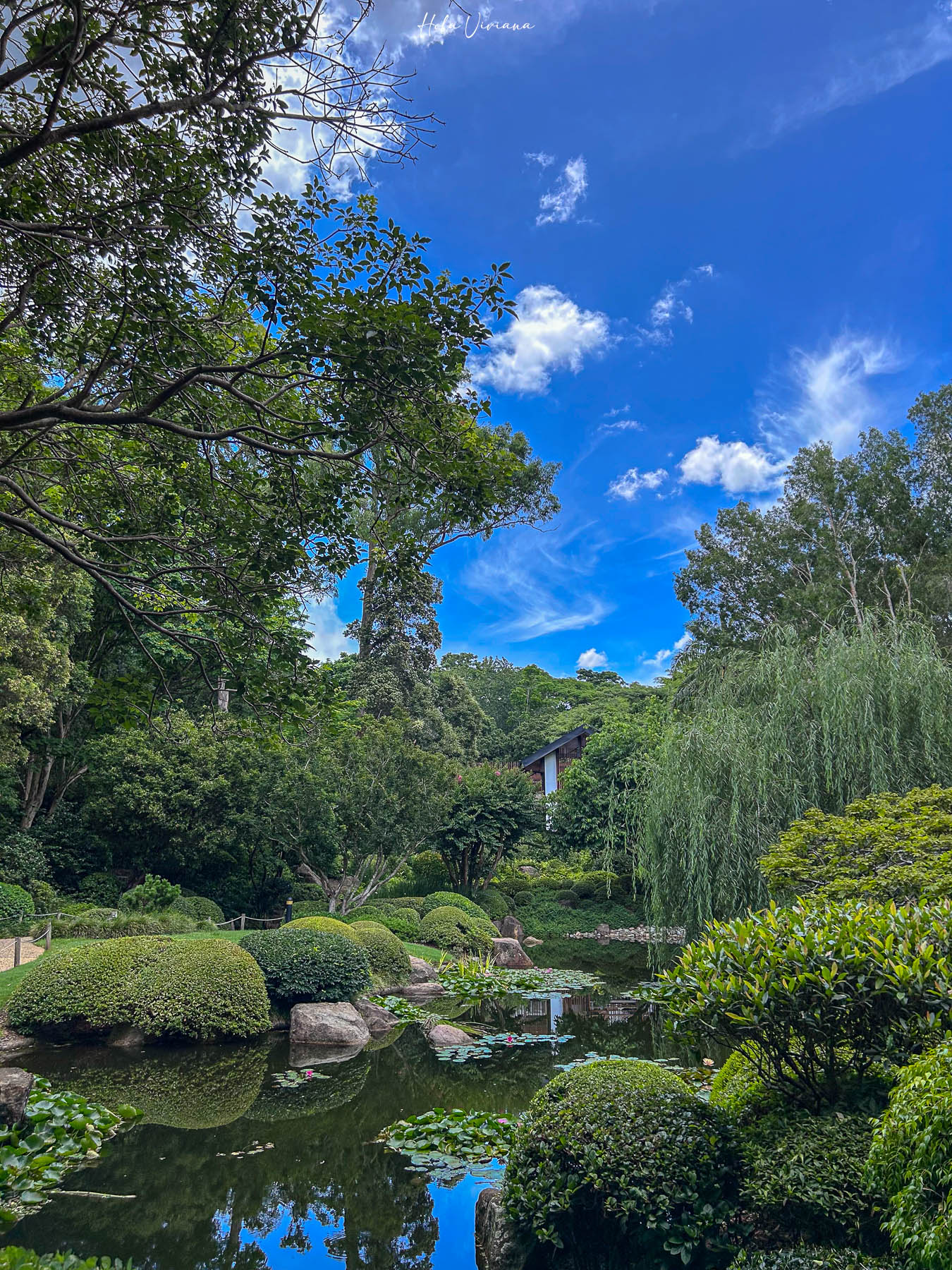 布里斯本景點推薦 庫薩山 Mount Coot-tha