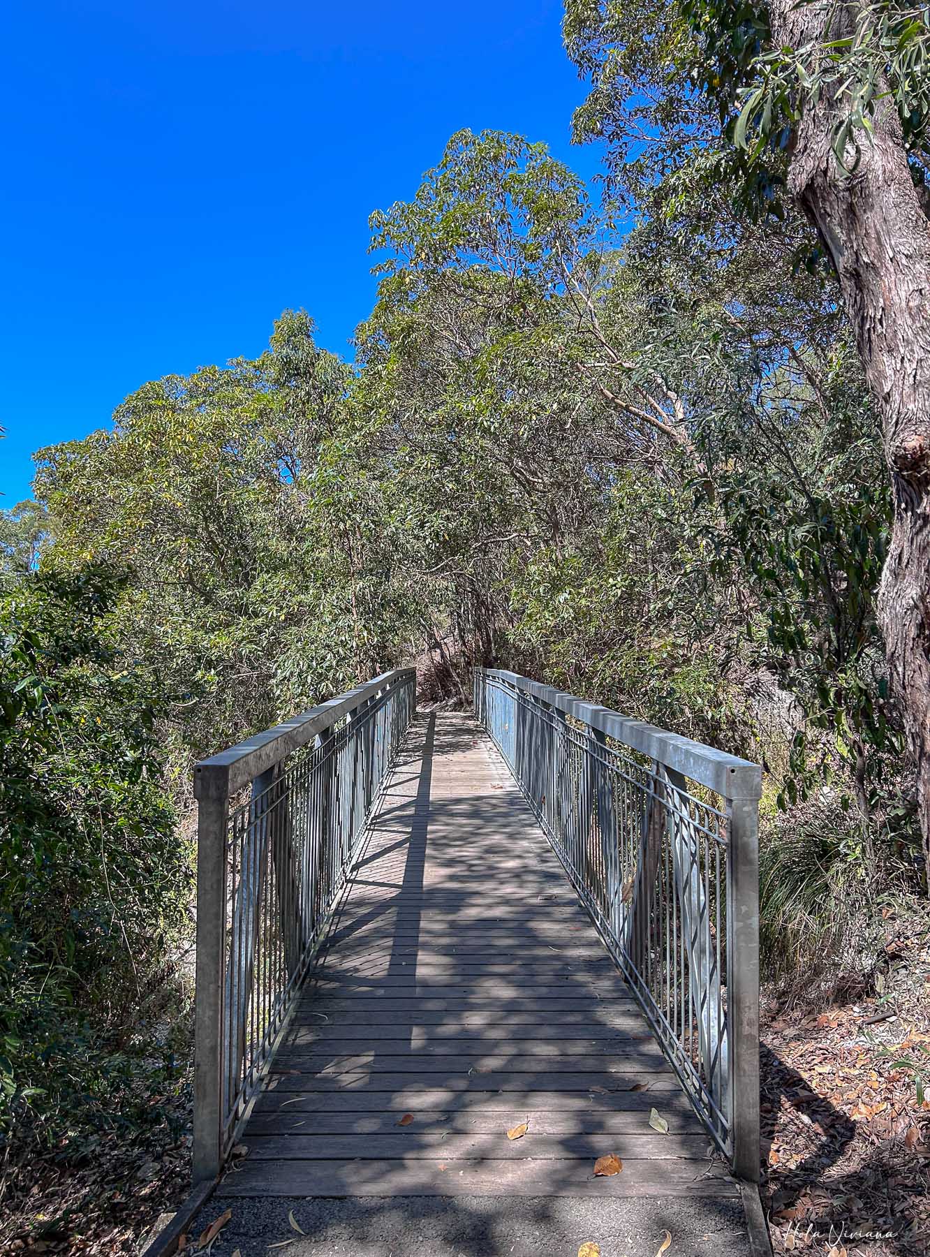 布里斯本景點推薦 Mount Gravatt 觀景台步道