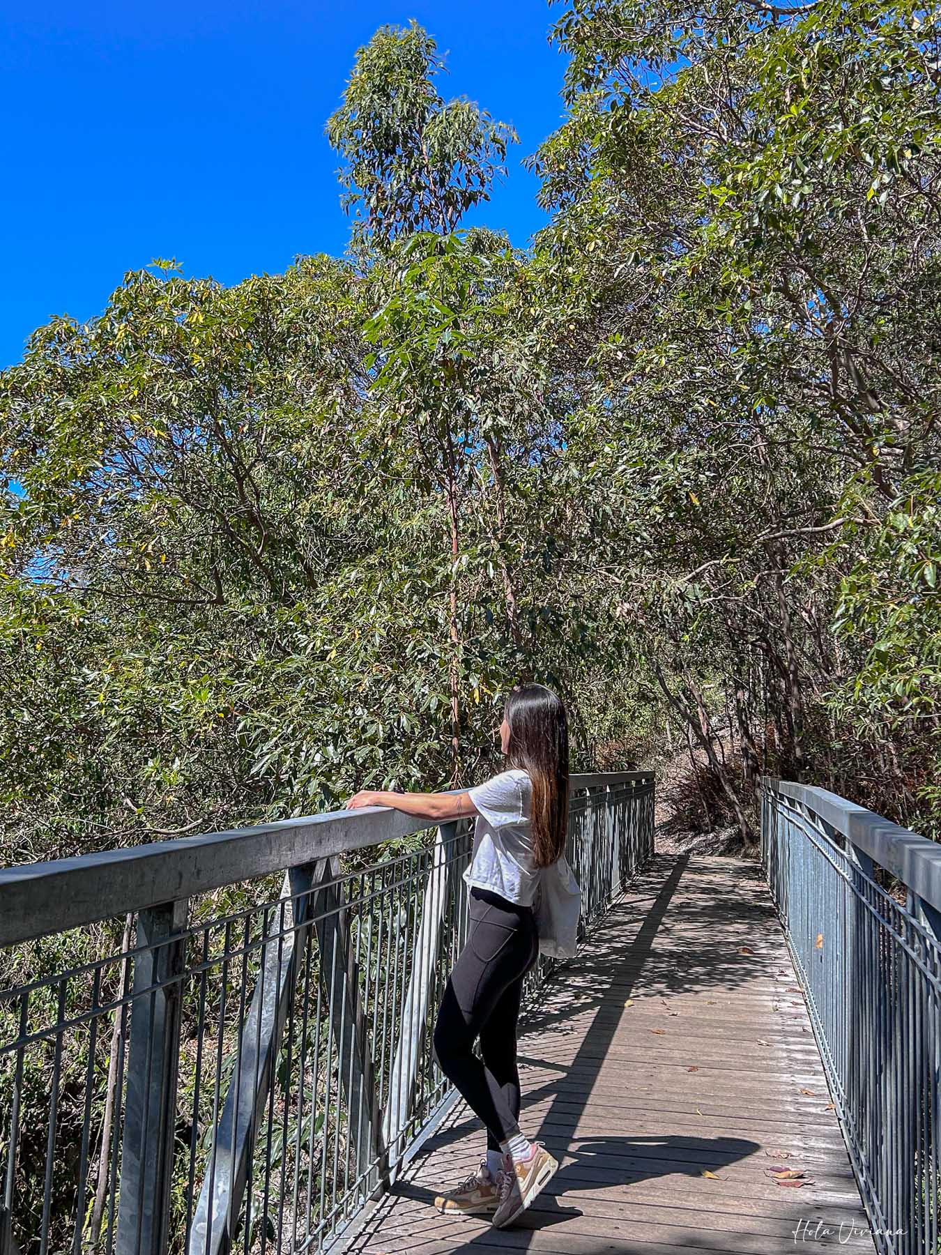 布里斯本景點推薦 Mount Gravatt 觀景台步道