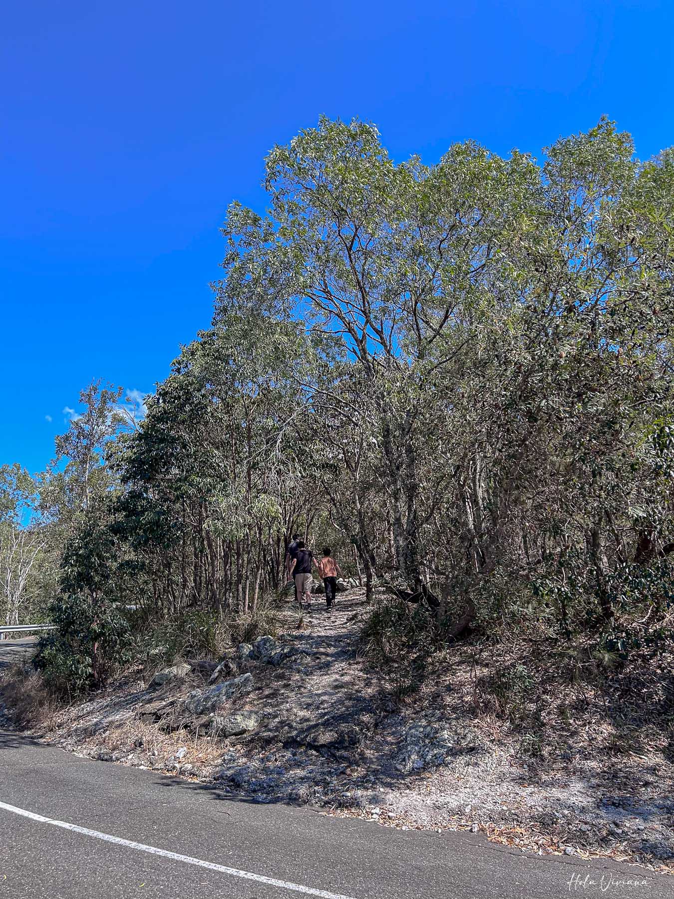 布里斯本景點推薦 Mount Gravatt 觀景台步道