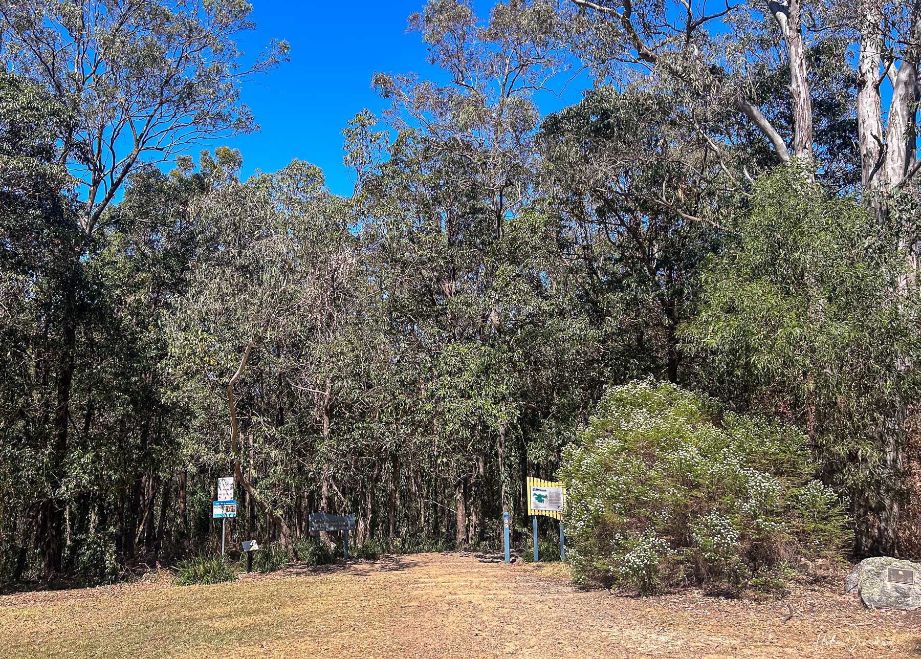 布里斯本景點推薦 Mount Gravatt 觀景台步道