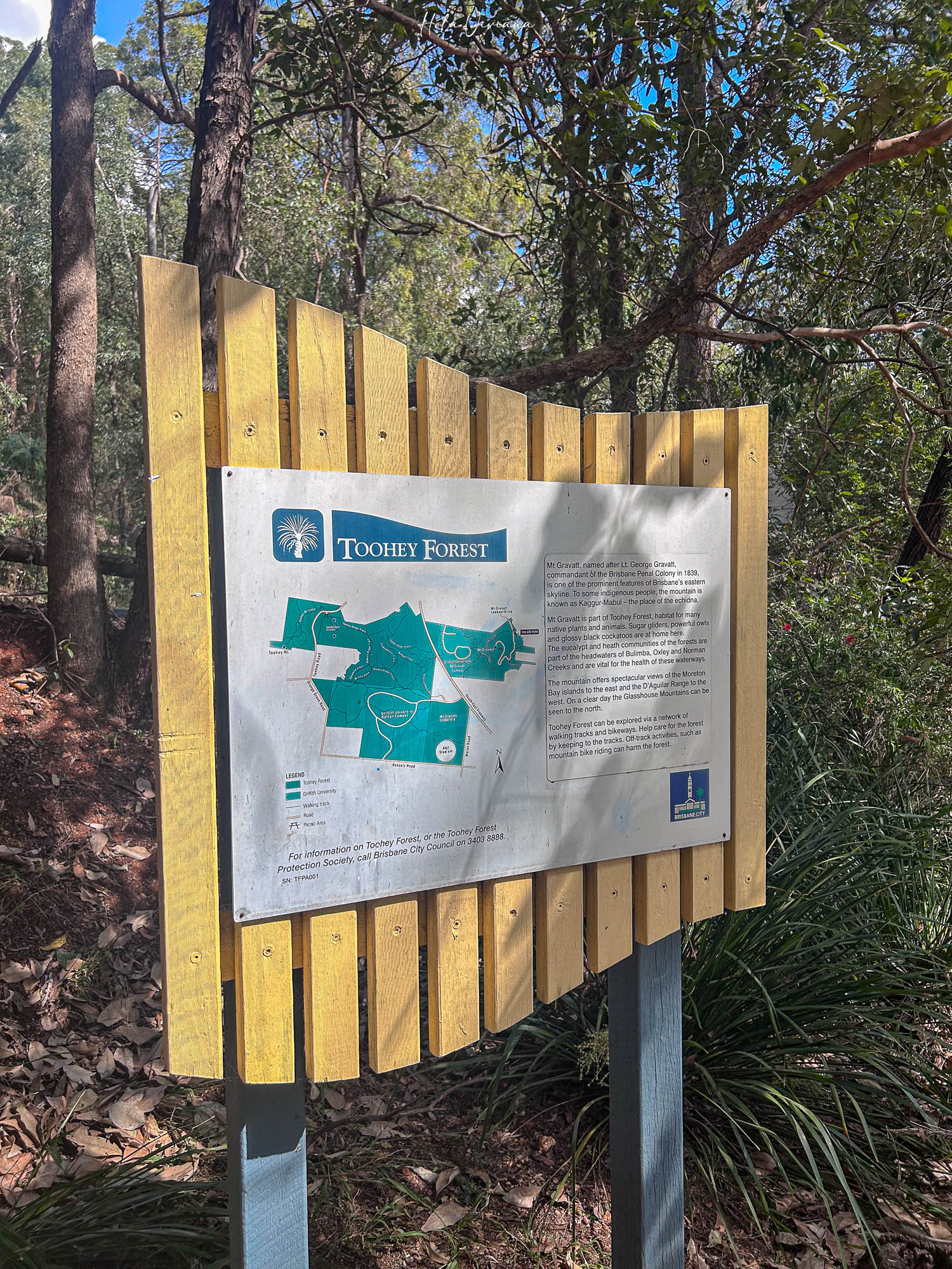 布里斯本景點推薦 Mount Gravatt 觀景台