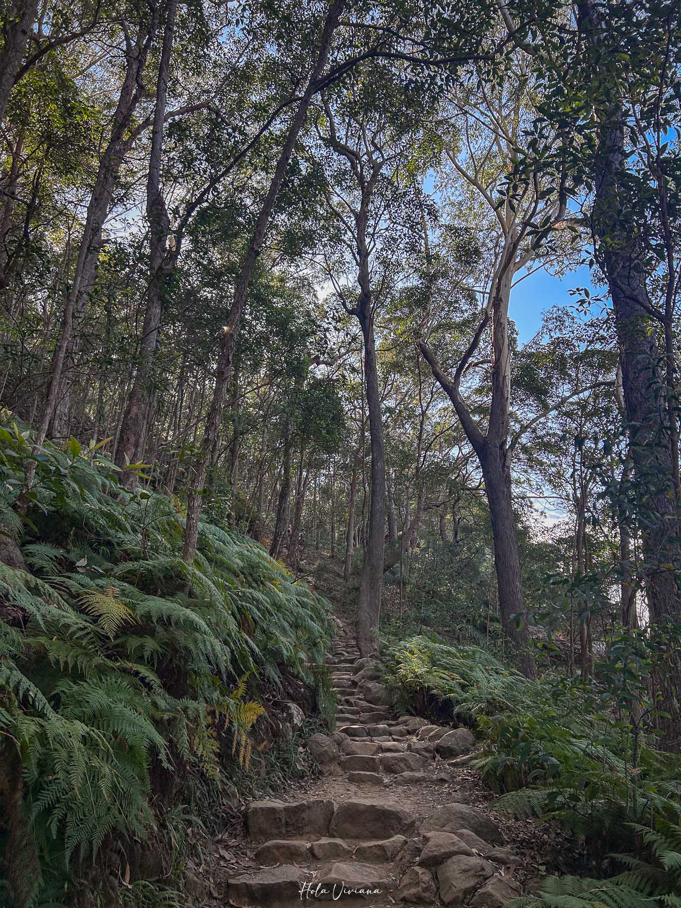 布里斯本 陽光海岸 登山推薦 Mt Ngungun 步道