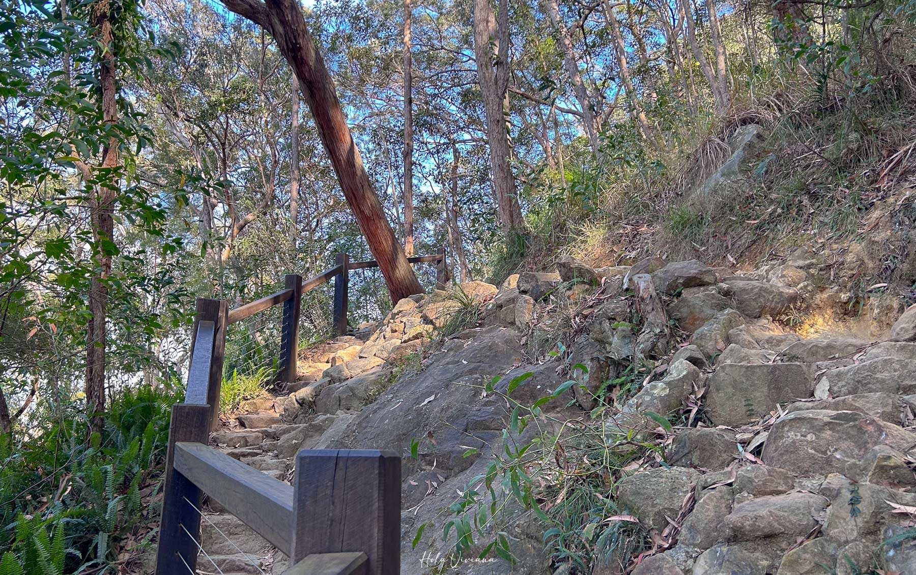 布里斯本 陽光海岸 登山推薦 Mt Ngungun 步道 