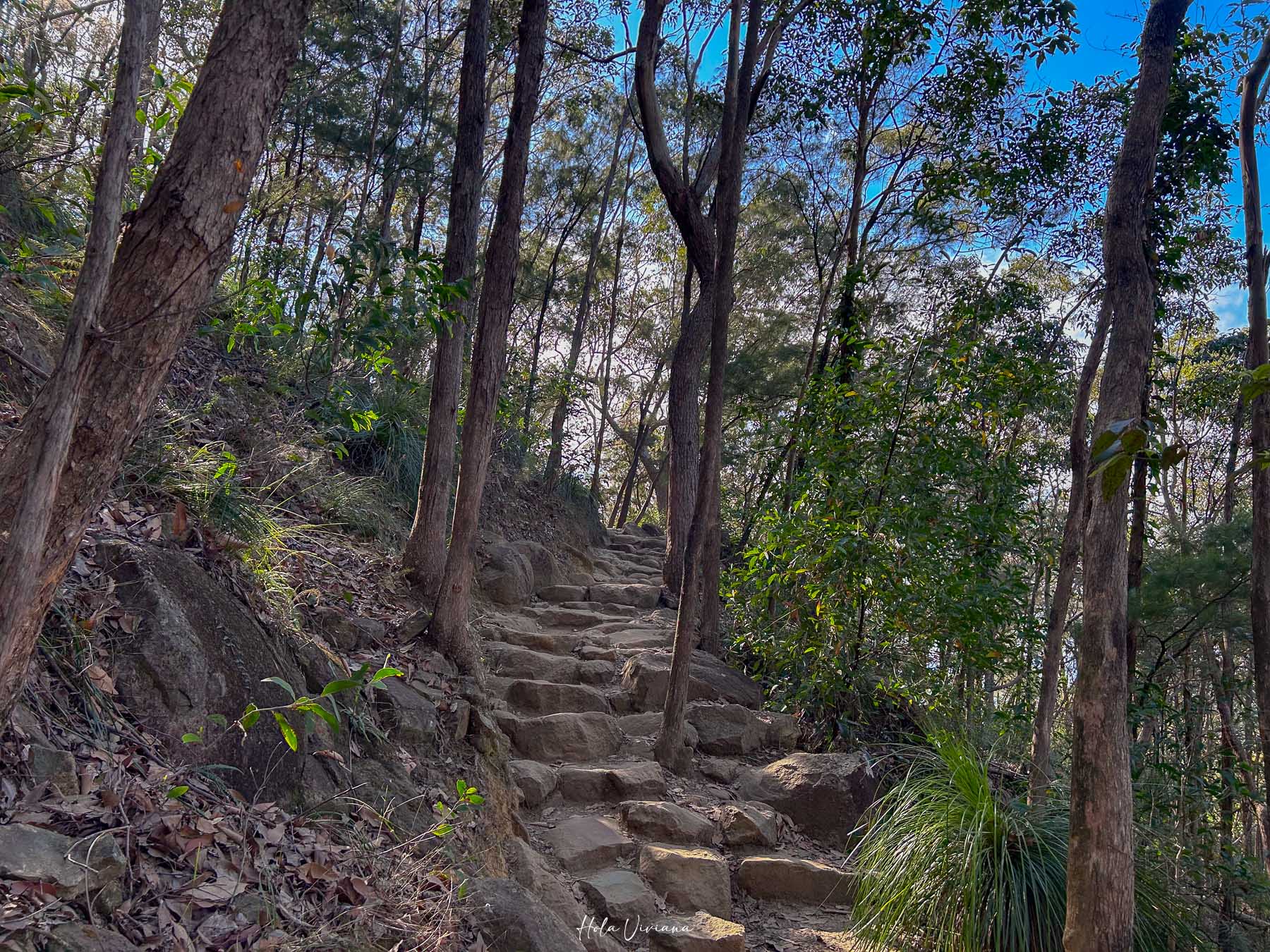 布里斯本 陽光海岸 登山推薦 Mt Ngungun 步道 