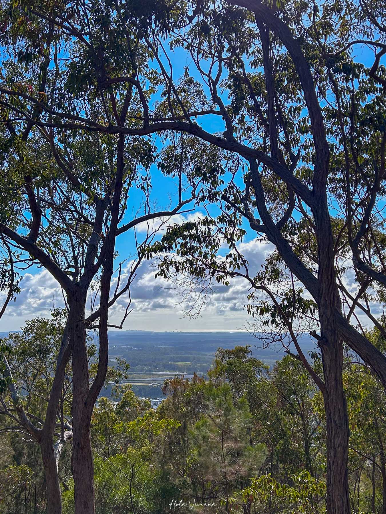 布里斯本 陽光海岸 登山推薦 Mt Ngungun 步道 