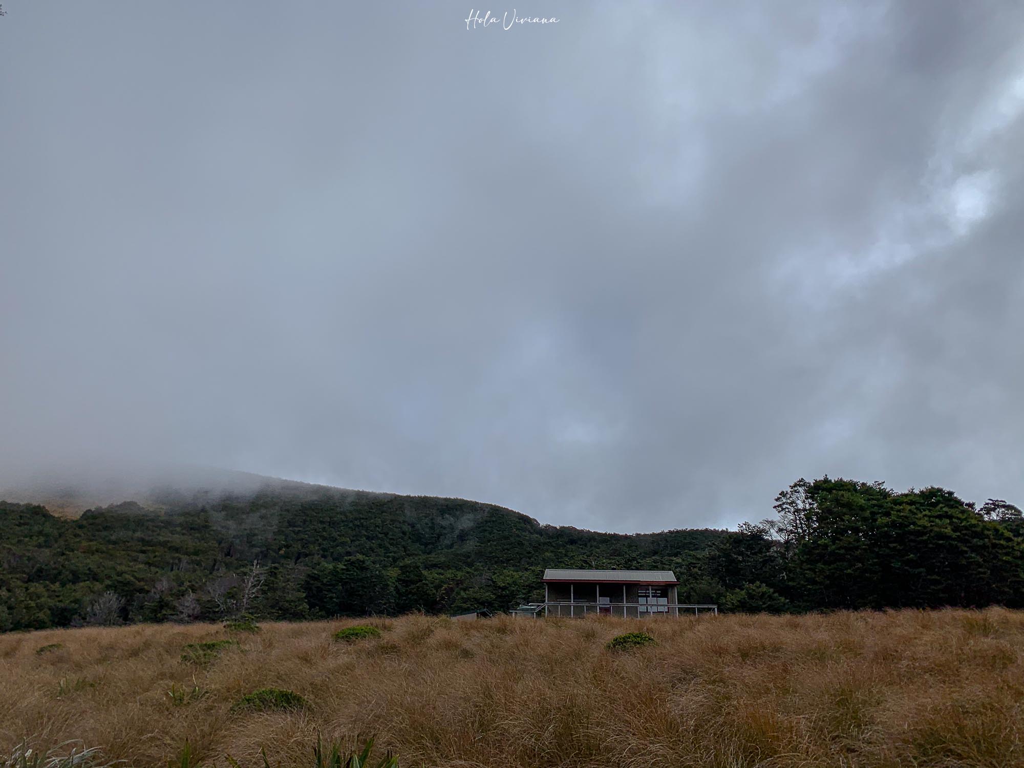 紐西蘭健行 Angelus Hut Speargrass hut