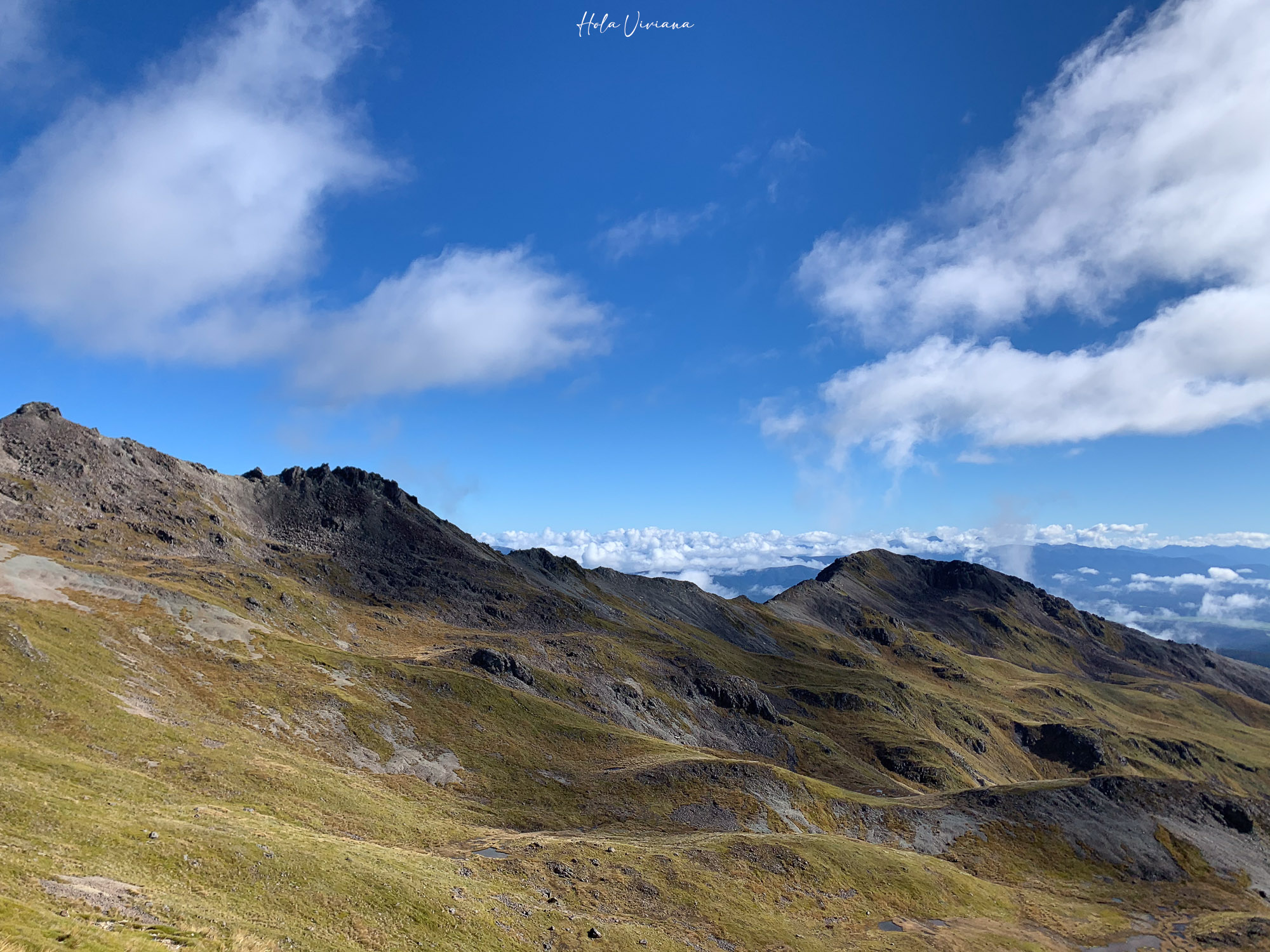 紐西蘭健行 Angelus hut