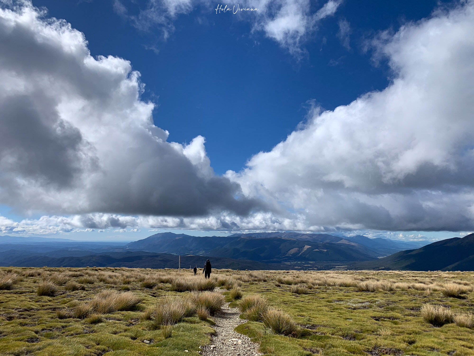紐西蘭健行 Angelus hut