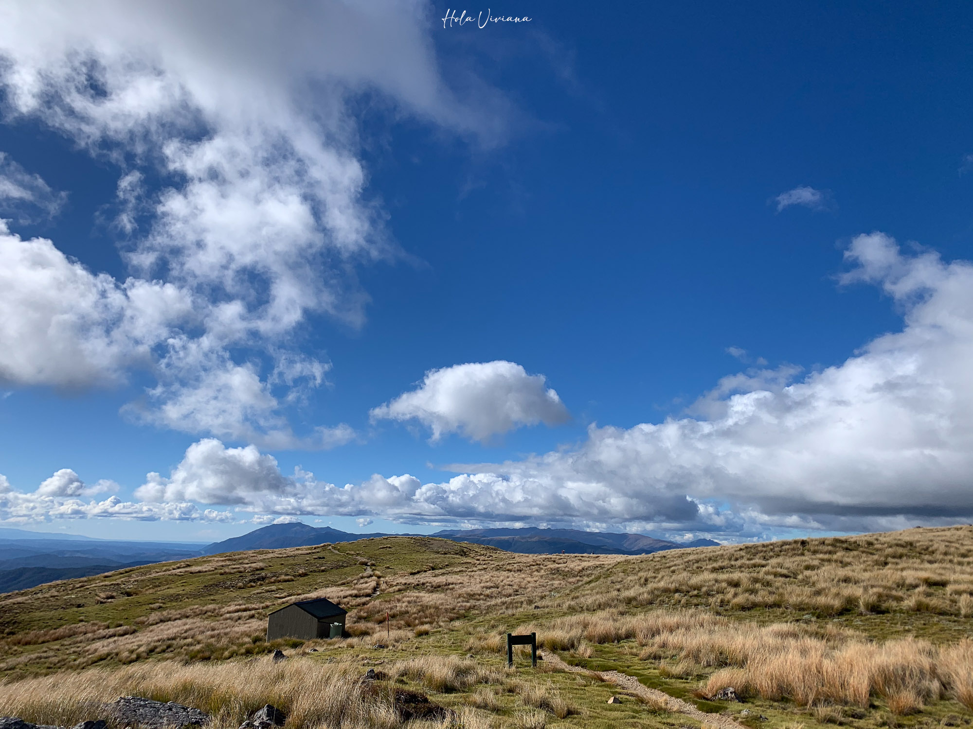 紐西蘭健行 Angelus hut