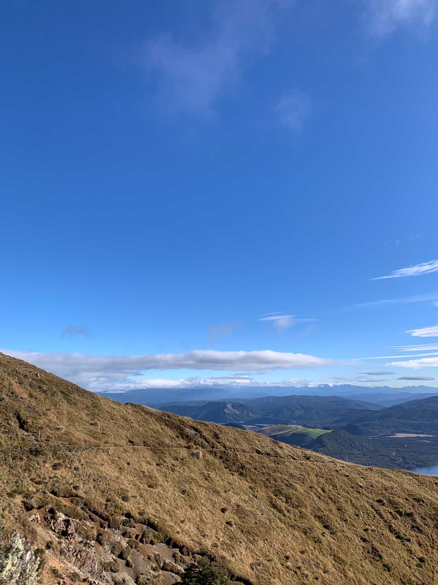 紐西蘭健行 Pinchgut Hut