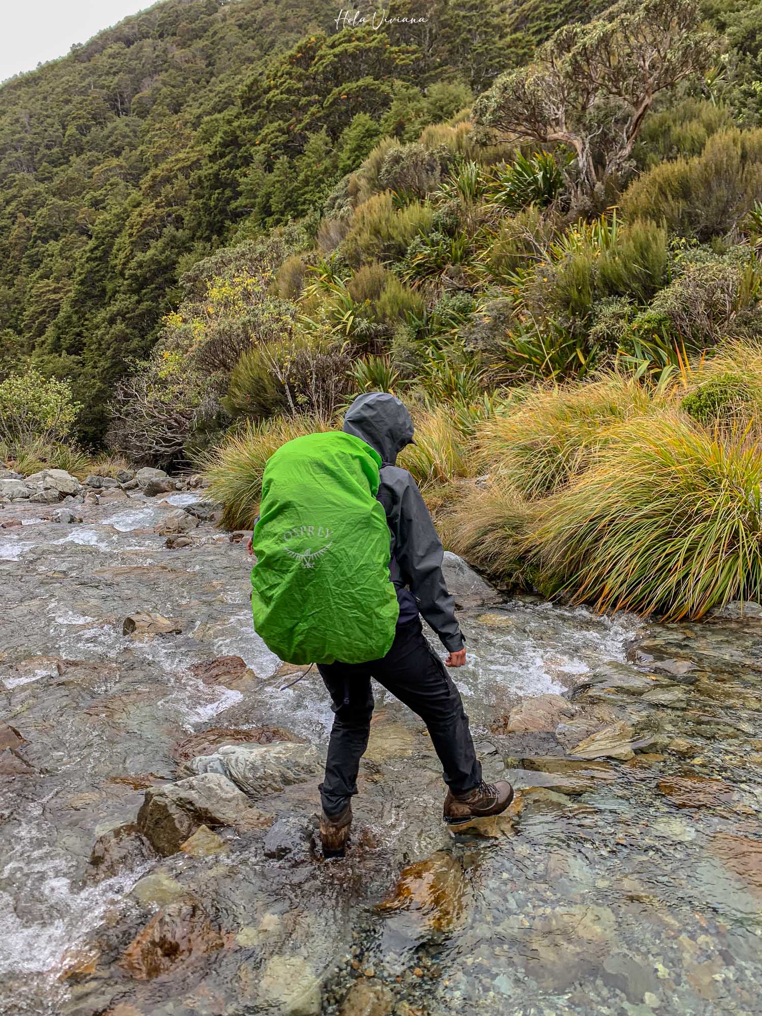 紐西蘭健行 Angelus Hut：Speargrass Creek route