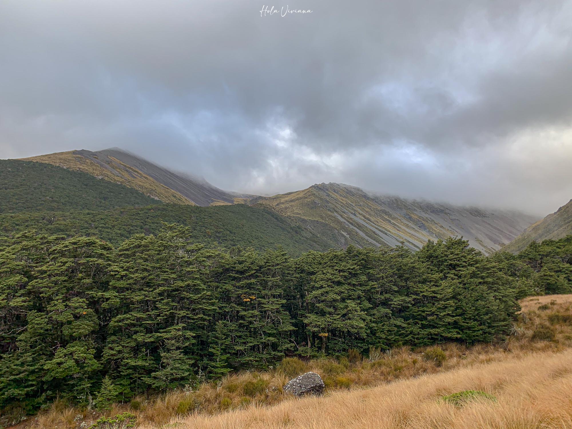 紐西蘭健行 Angelus Hut：Speargrass Creek route