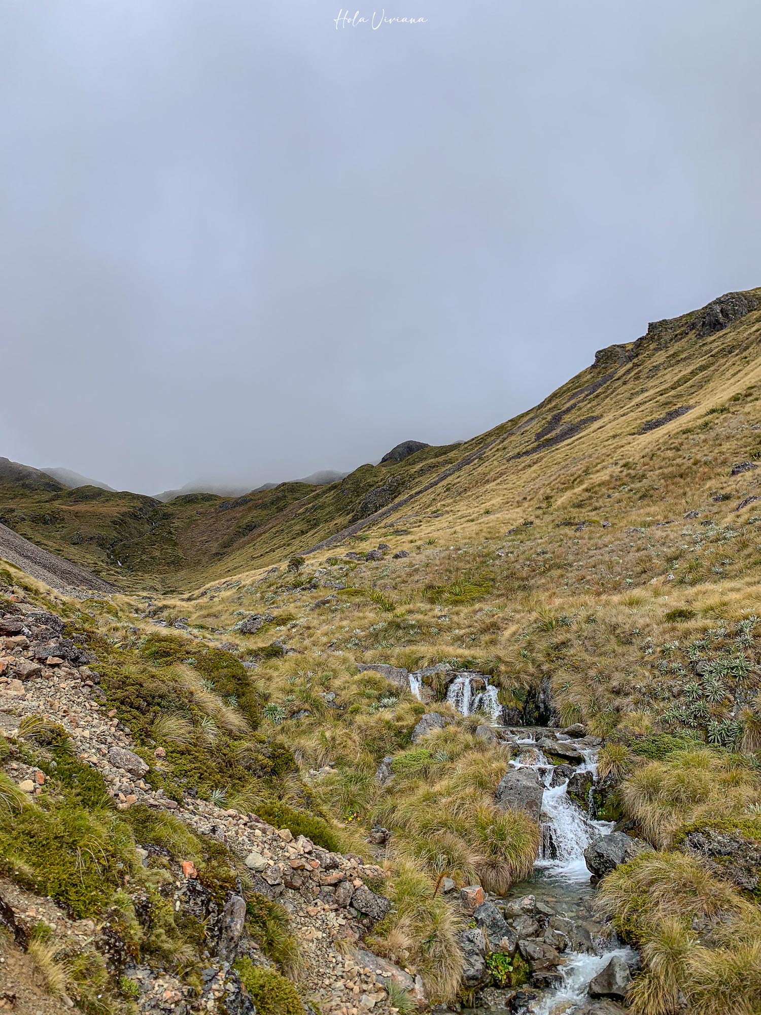 紐西蘭健行 Angelus Hut：Speargrass Creek route