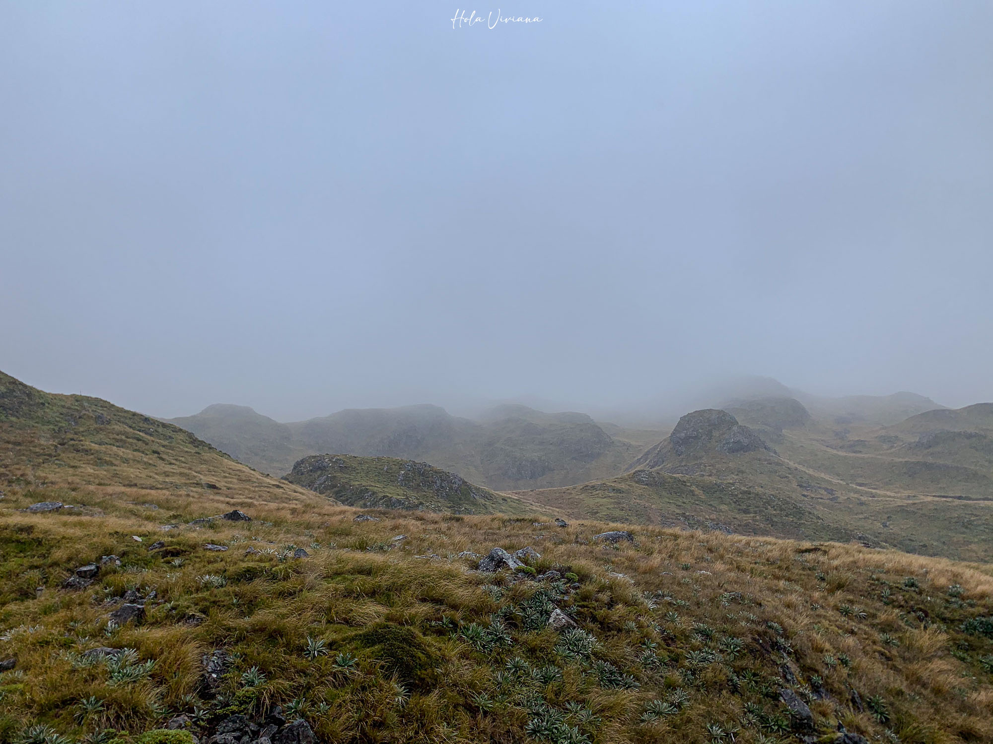 紐西蘭健行 Angelus Hut：Speargrass Creek route