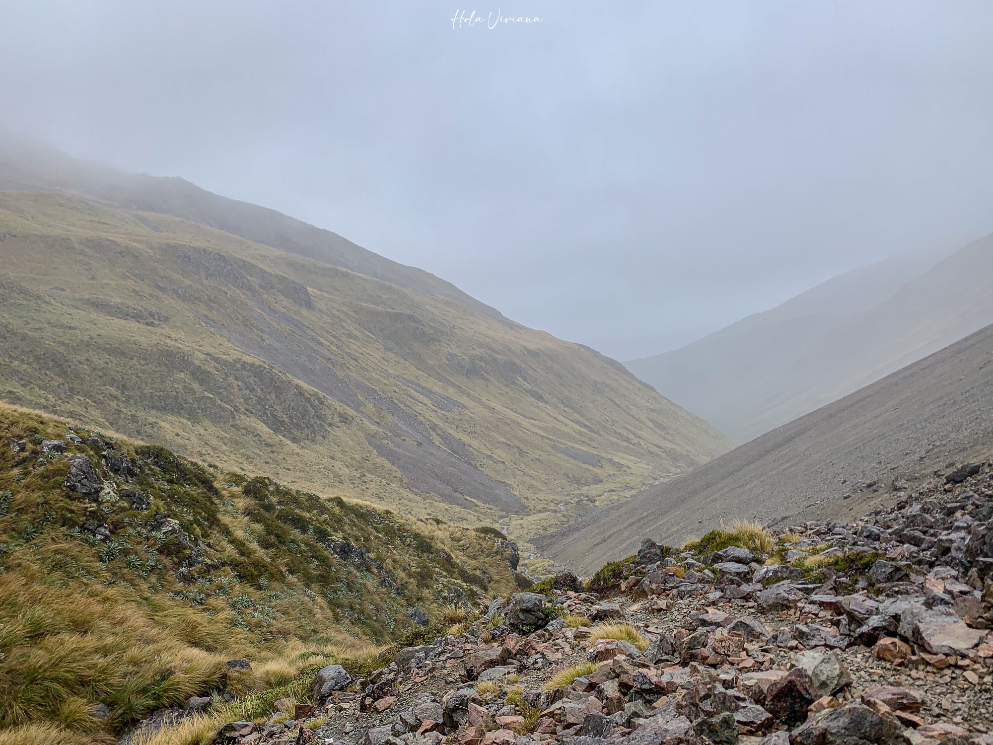 紐西蘭健行 Angelus Hut：Speargrass Creek route