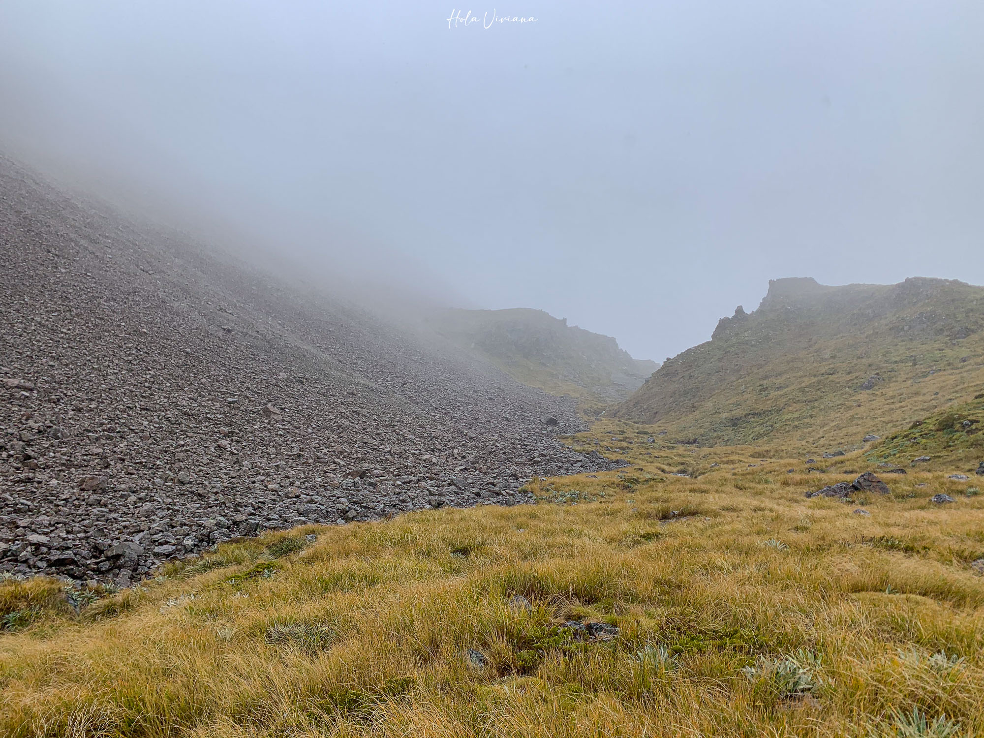 紐西蘭健行 Angelus Hut：Speargrass Creek route