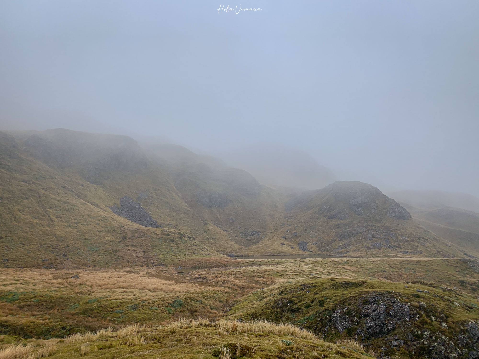 紐西蘭健行 Angelus Hut：Speargrass Creek route