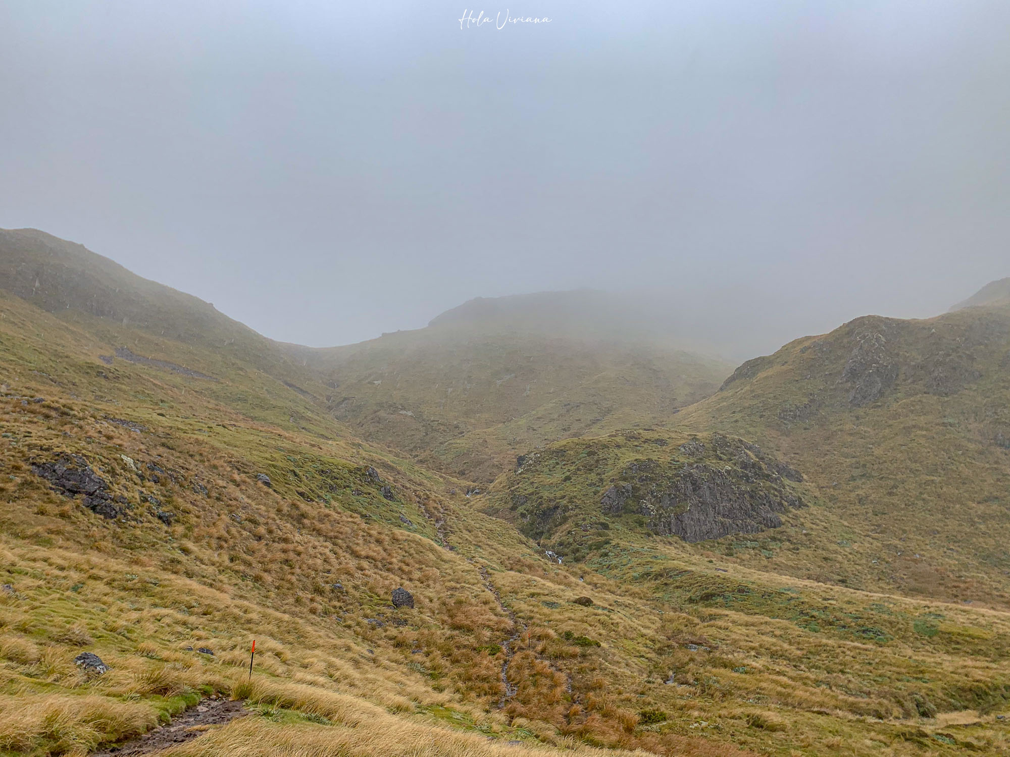 紐西蘭健行 Angelus Hut：Speargrass Creek route