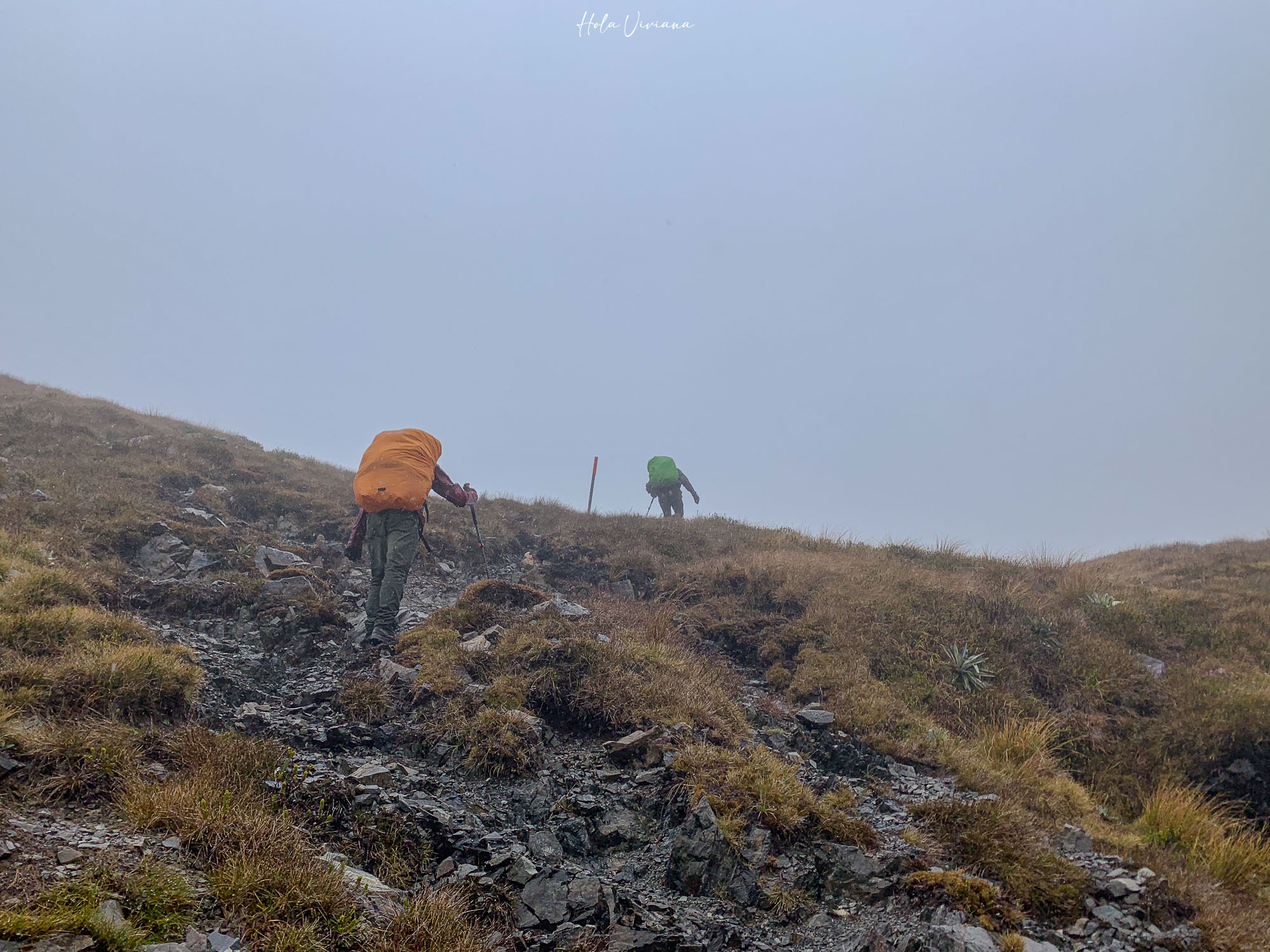 紐西蘭健行 Angelus Hut：Speargrass Creek route