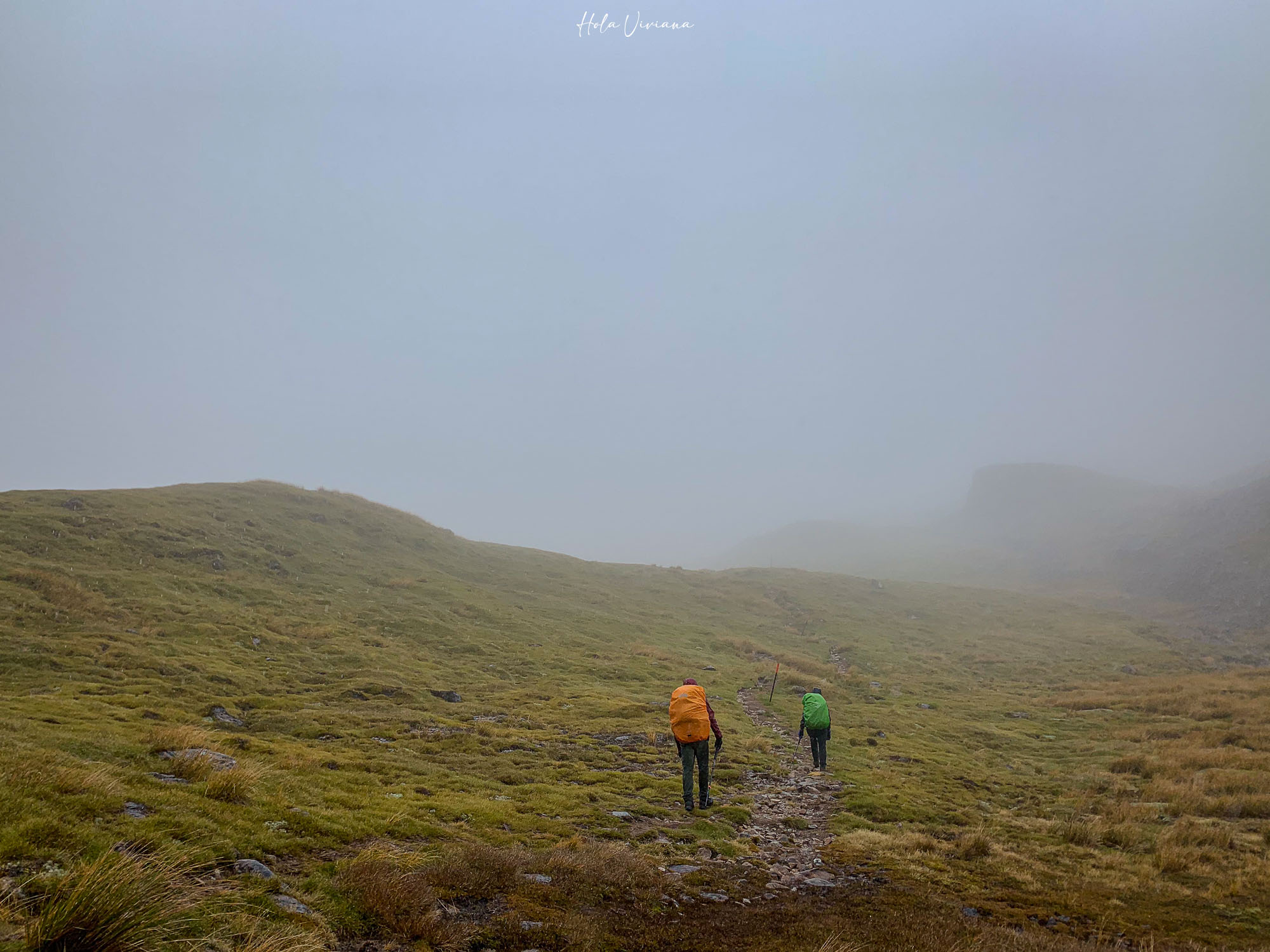 紐西蘭健行 Angelus Hut：Speargrass Creek route