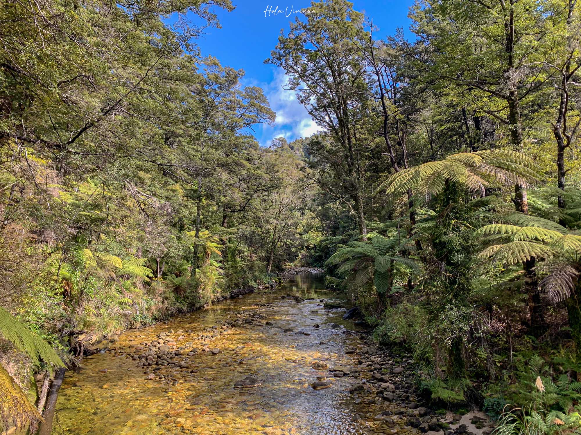 紐西蘭 Abel Tasman Coastal Track 亞伯塔斯曼步道 