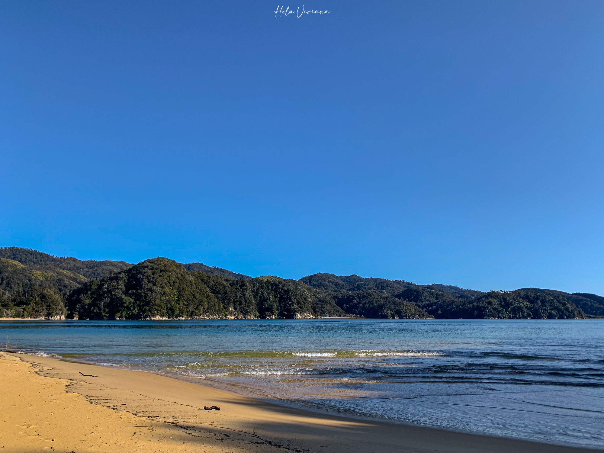 紐西蘭 Abel Tasman Coastal Track 亞伯塔斯曼步道
