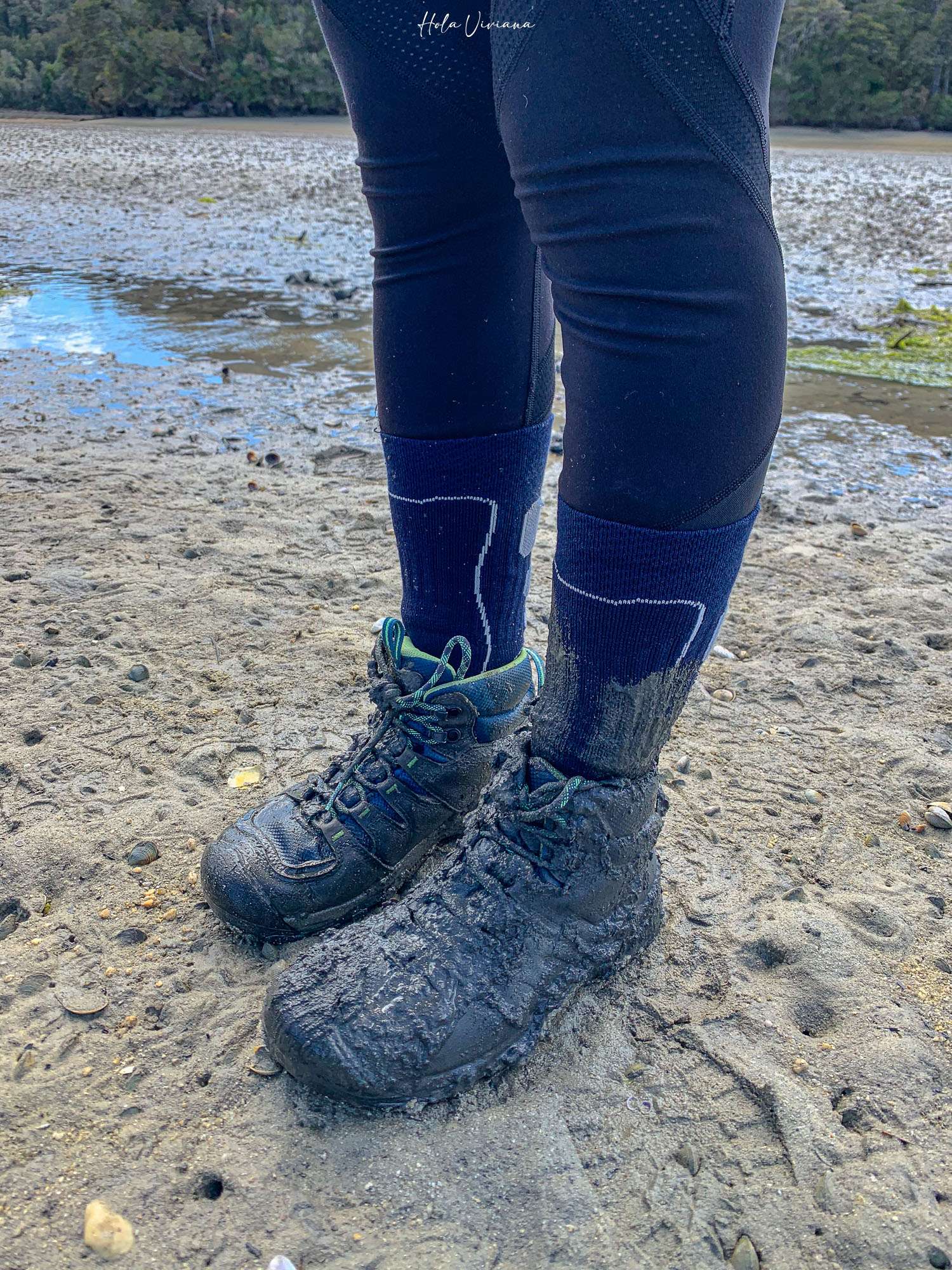 紐西蘭 Abel Tasman Coastal Track 亞伯塔斯曼步道 