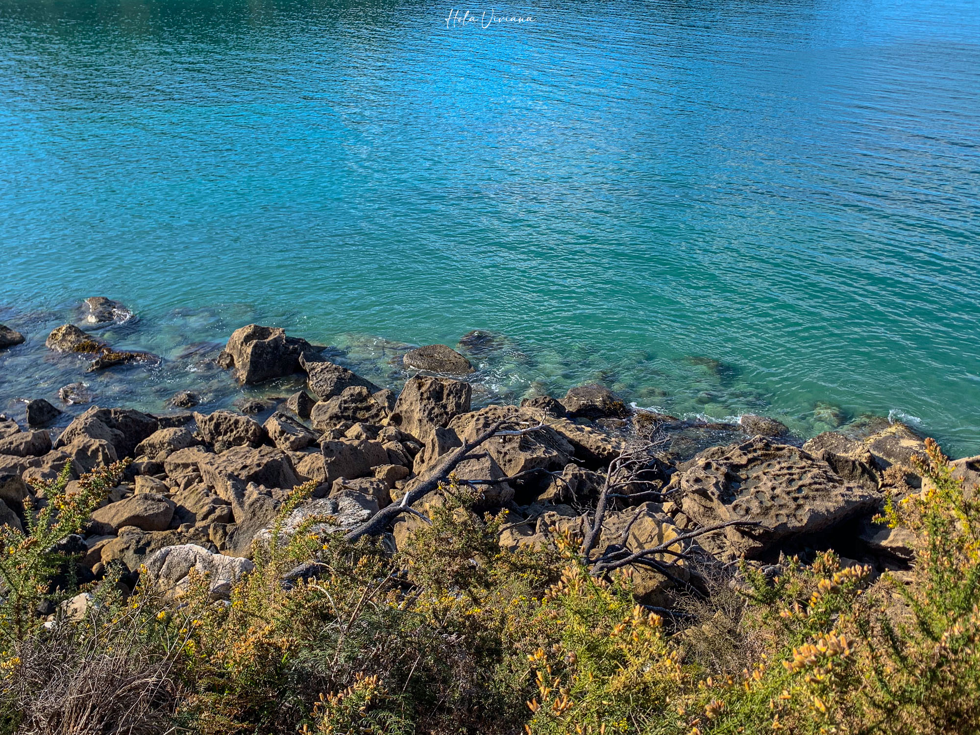 紐西蘭 Abel Tasman Coastal Track 亞伯塔斯曼步道 