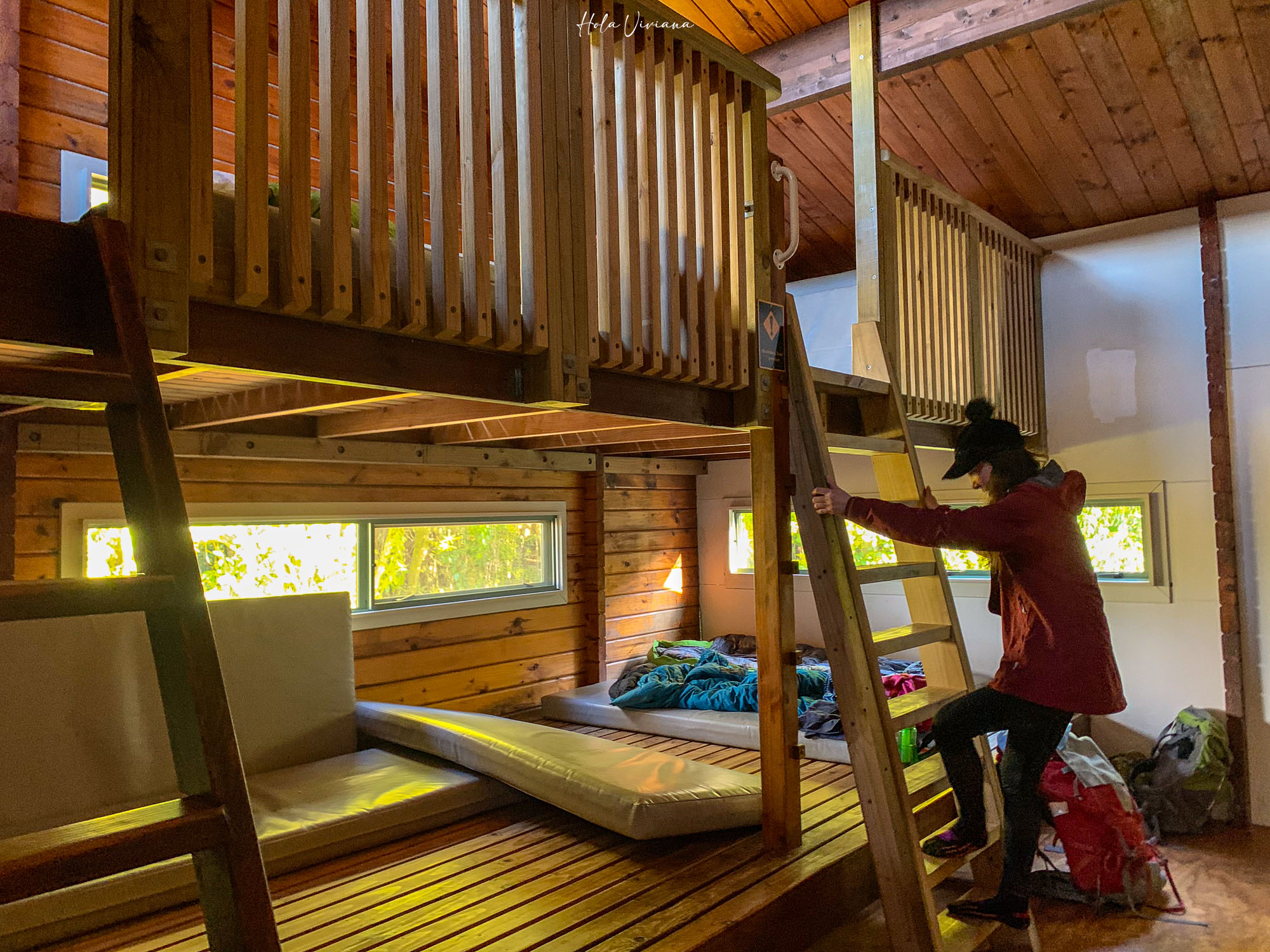 紐西蘭 Abel Tasman Coastal Track 亞伯塔斯曼步道 Bark Bay Hut