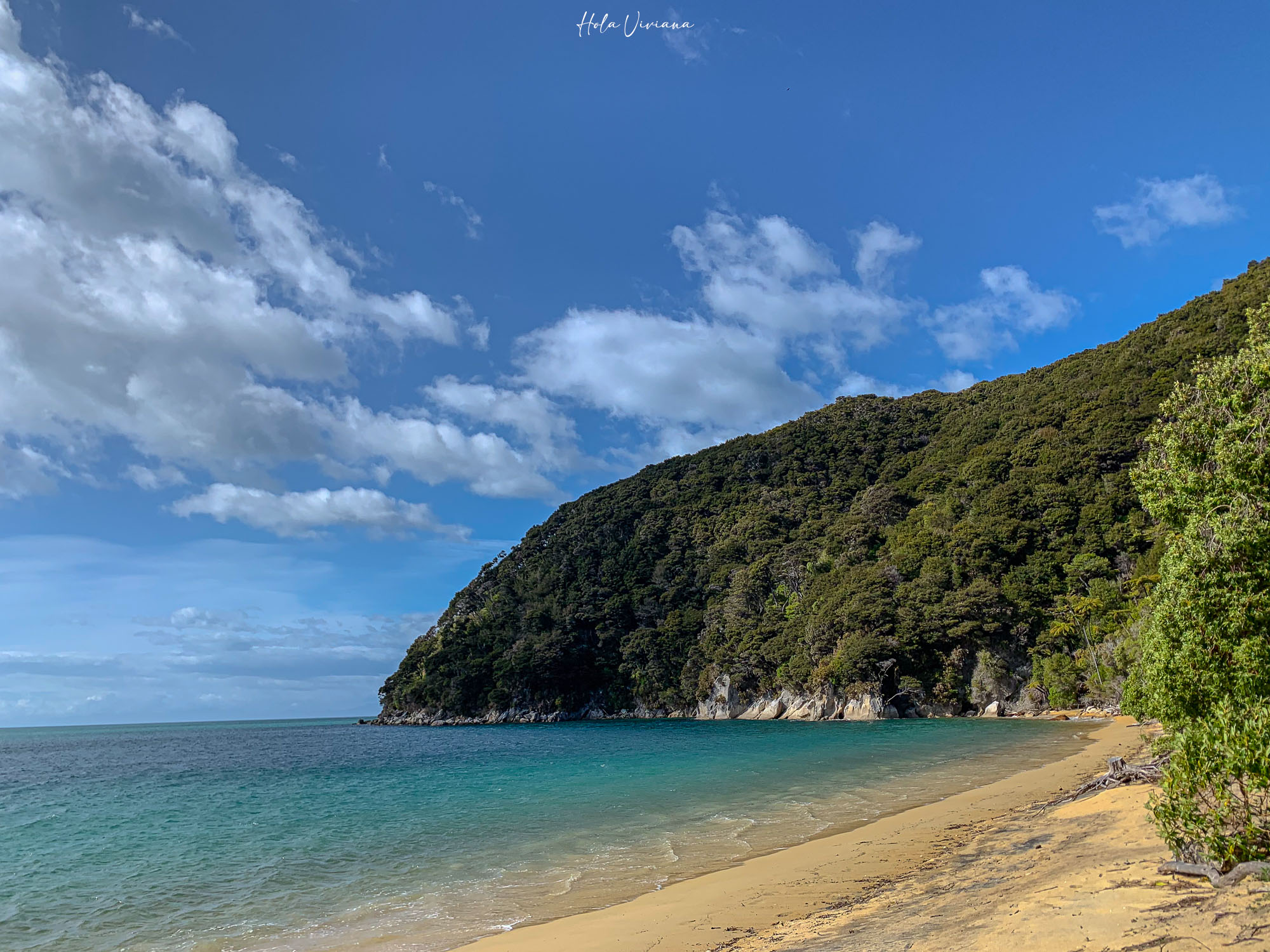 紐西蘭 Abel Tasman Coastal Track 亞伯塔斯曼步道