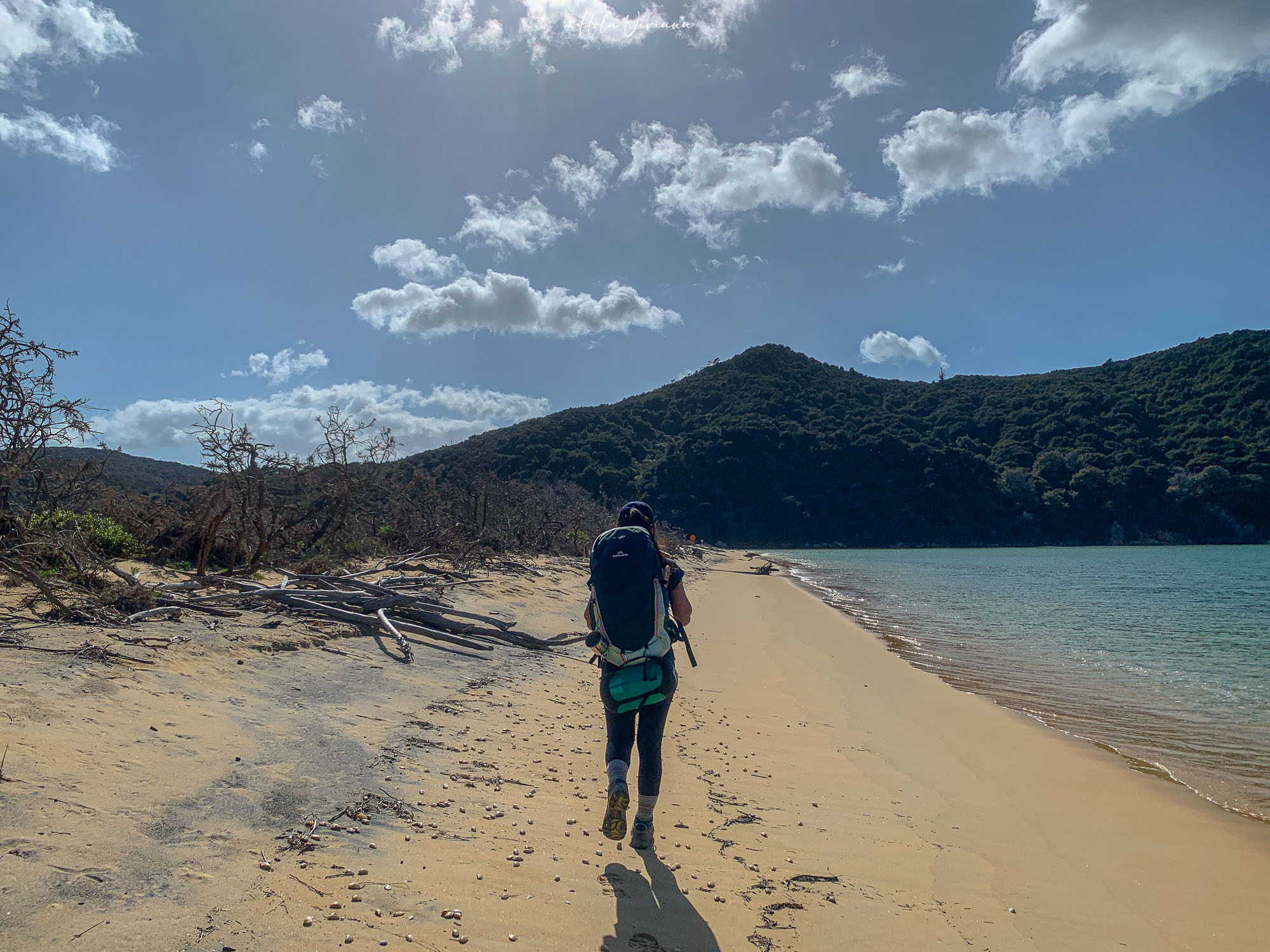 紐西蘭 Abel Tasman Coastal Track 亞伯塔斯曼步道