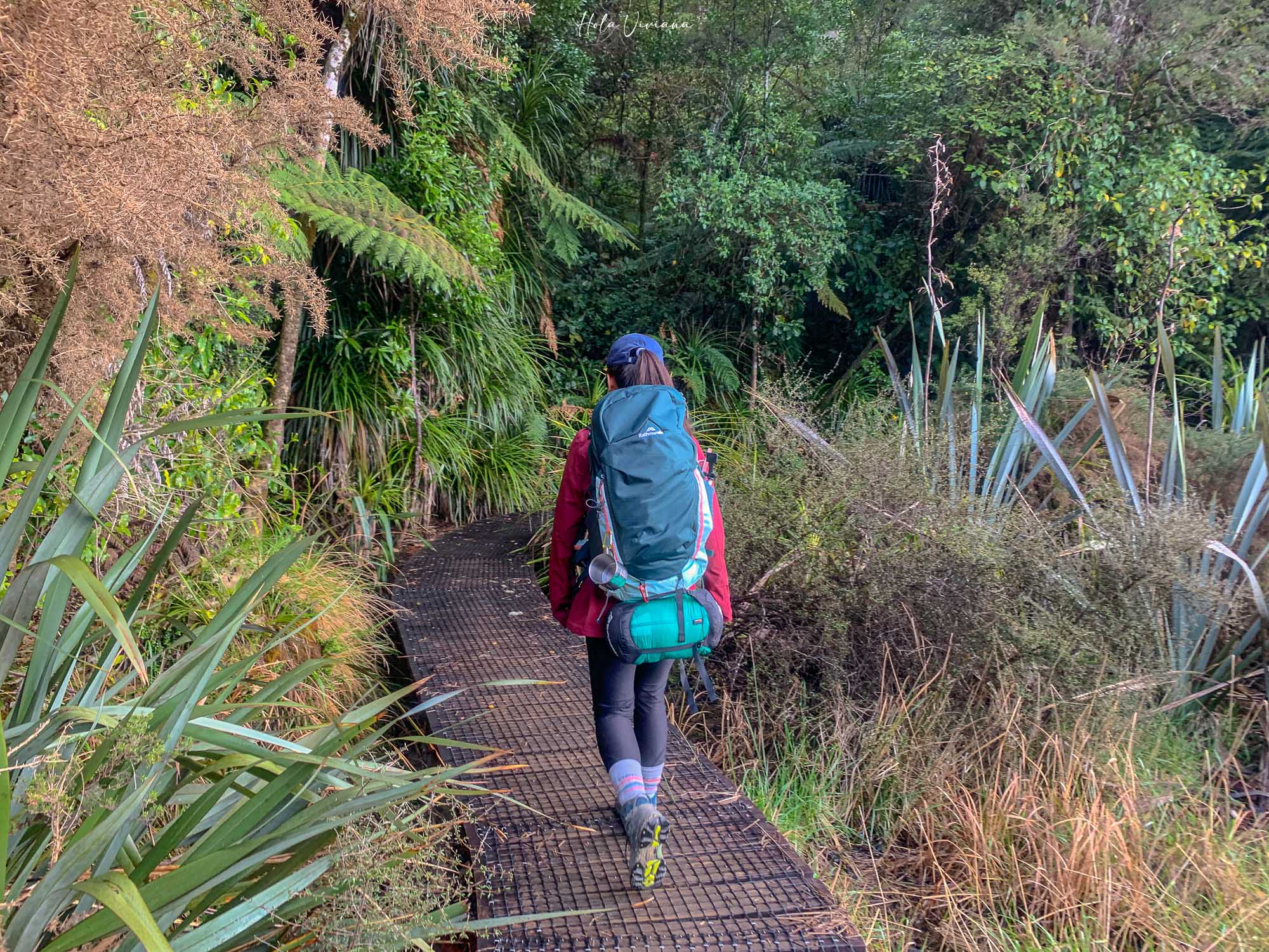 紐西蘭 Abel Tasman Coastal Track 亞伯塔斯曼步道