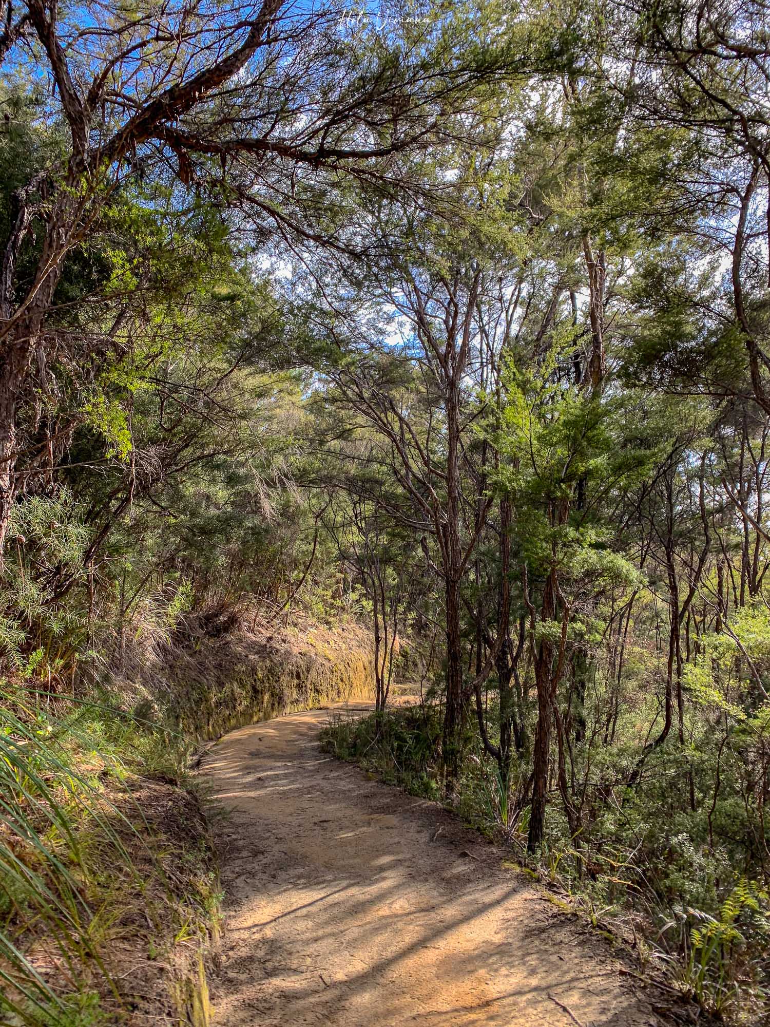 紐西蘭 Abel Tasman Coastal Track 亞伯塔斯曼步道