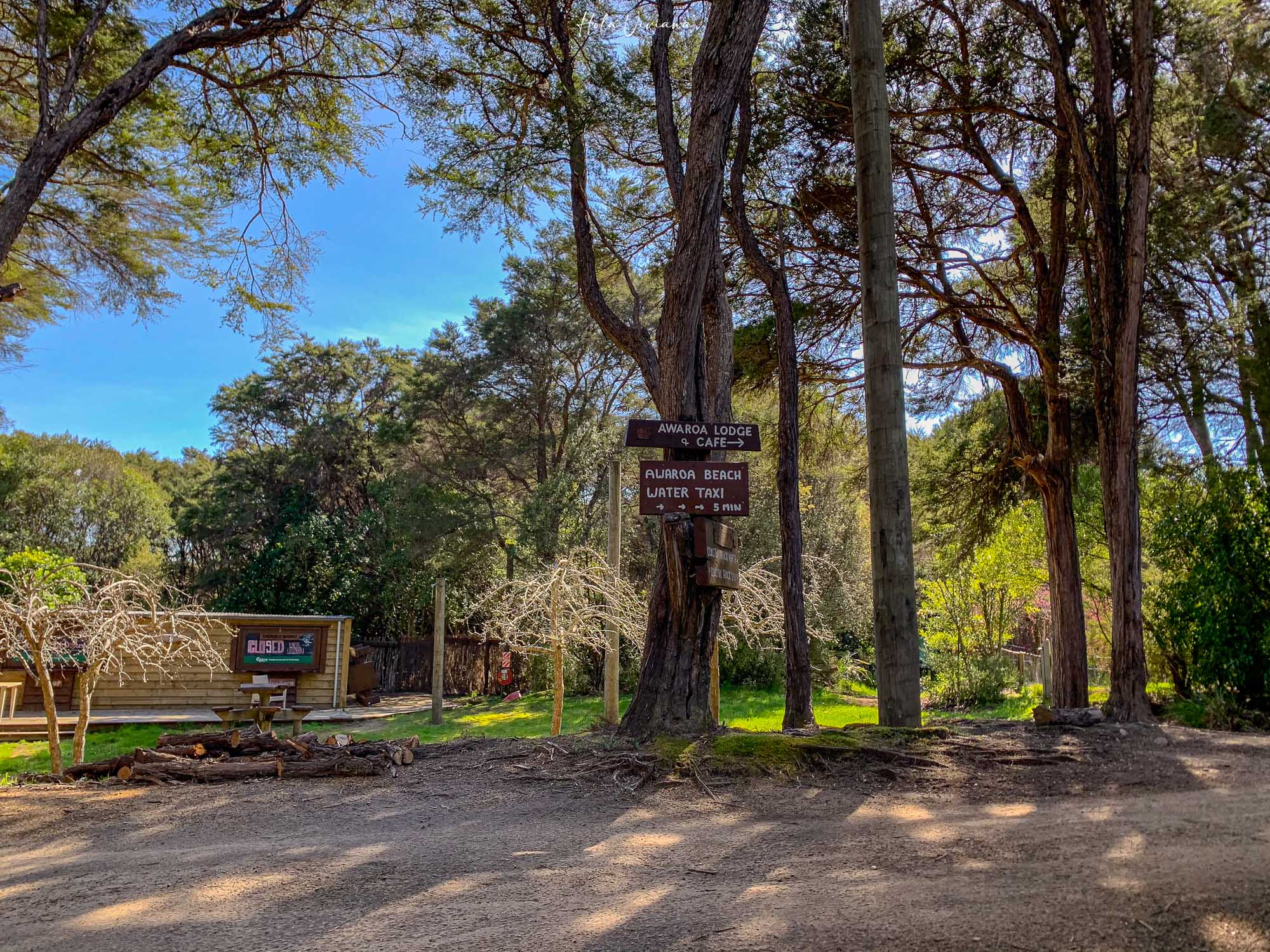 紐西蘭 Abel Tasman Coastal Track 亞伯塔斯曼步道