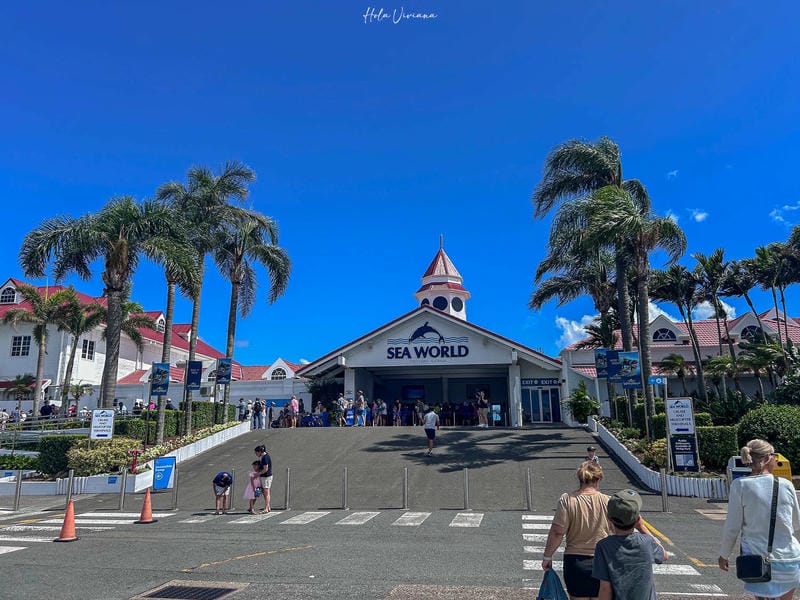 澳洲黃金海岸景點 海洋世界 Sea World 