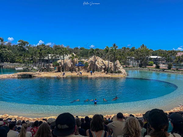 澳洲黃金海岸景點 海洋世界 Sea World  海豚秀
