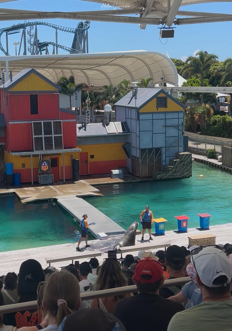 澳洲黃金海岸景點 海洋世界 Sea World 海獅表演