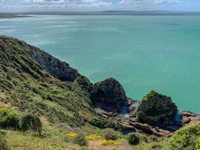 紐西蘭南島景點 Nugget Point 