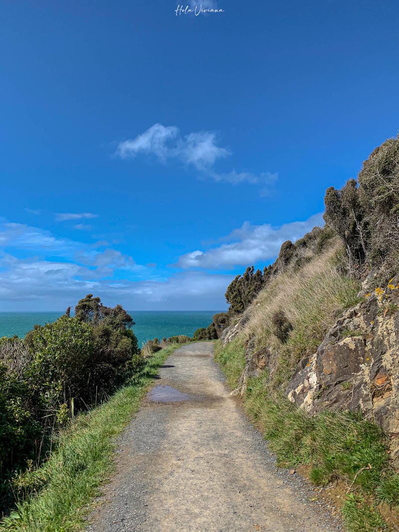 紐西蘭南島景點 Nugget Point 
