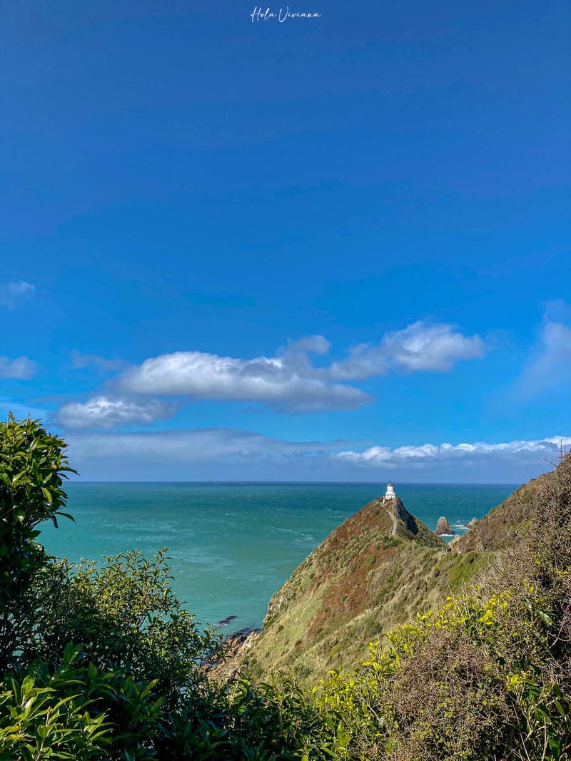 紐西蘭南島景點 Nugget Point